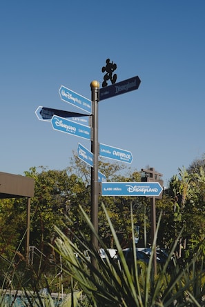Lodha Sarjapur Road - Location