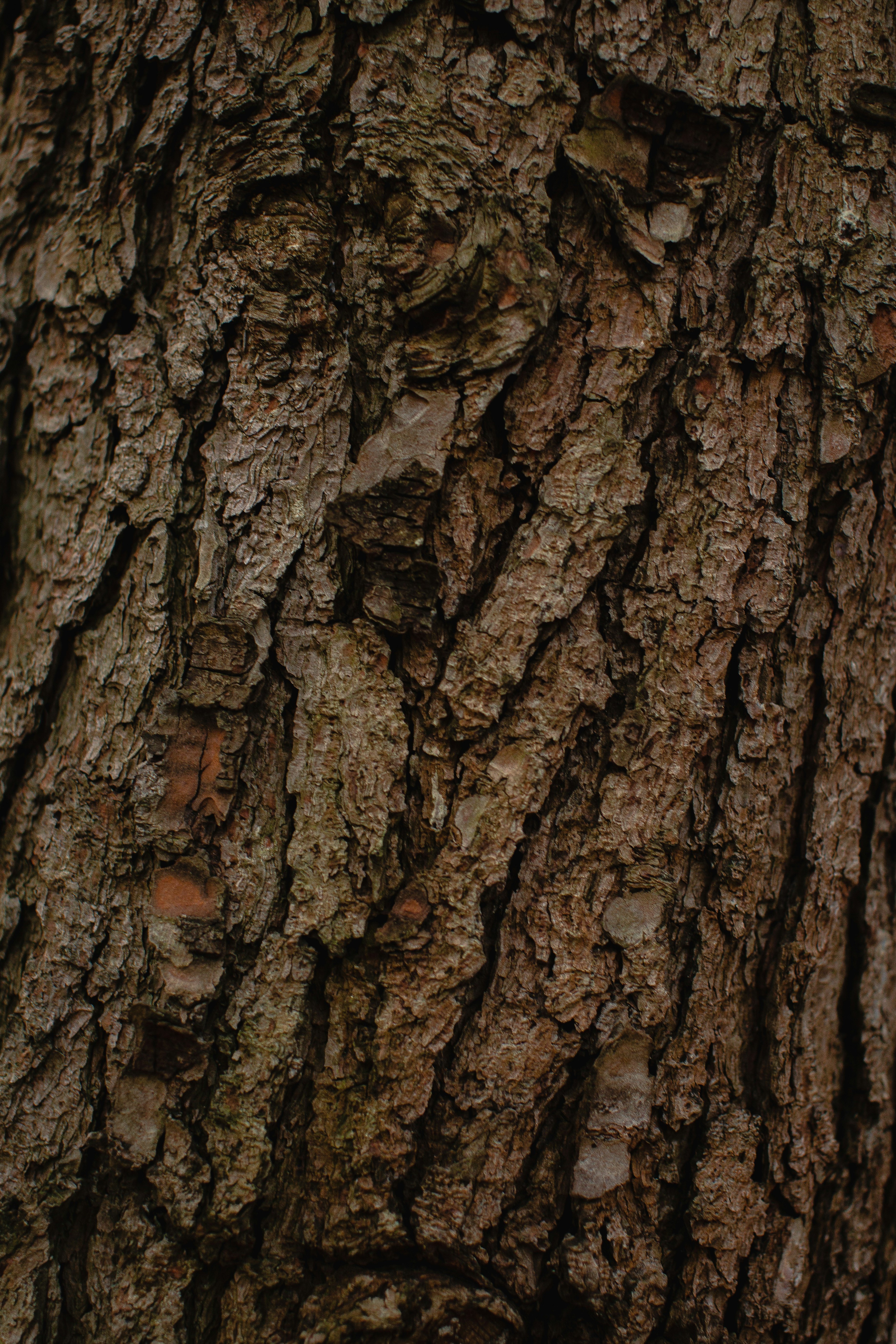 Photo by marcellviragh