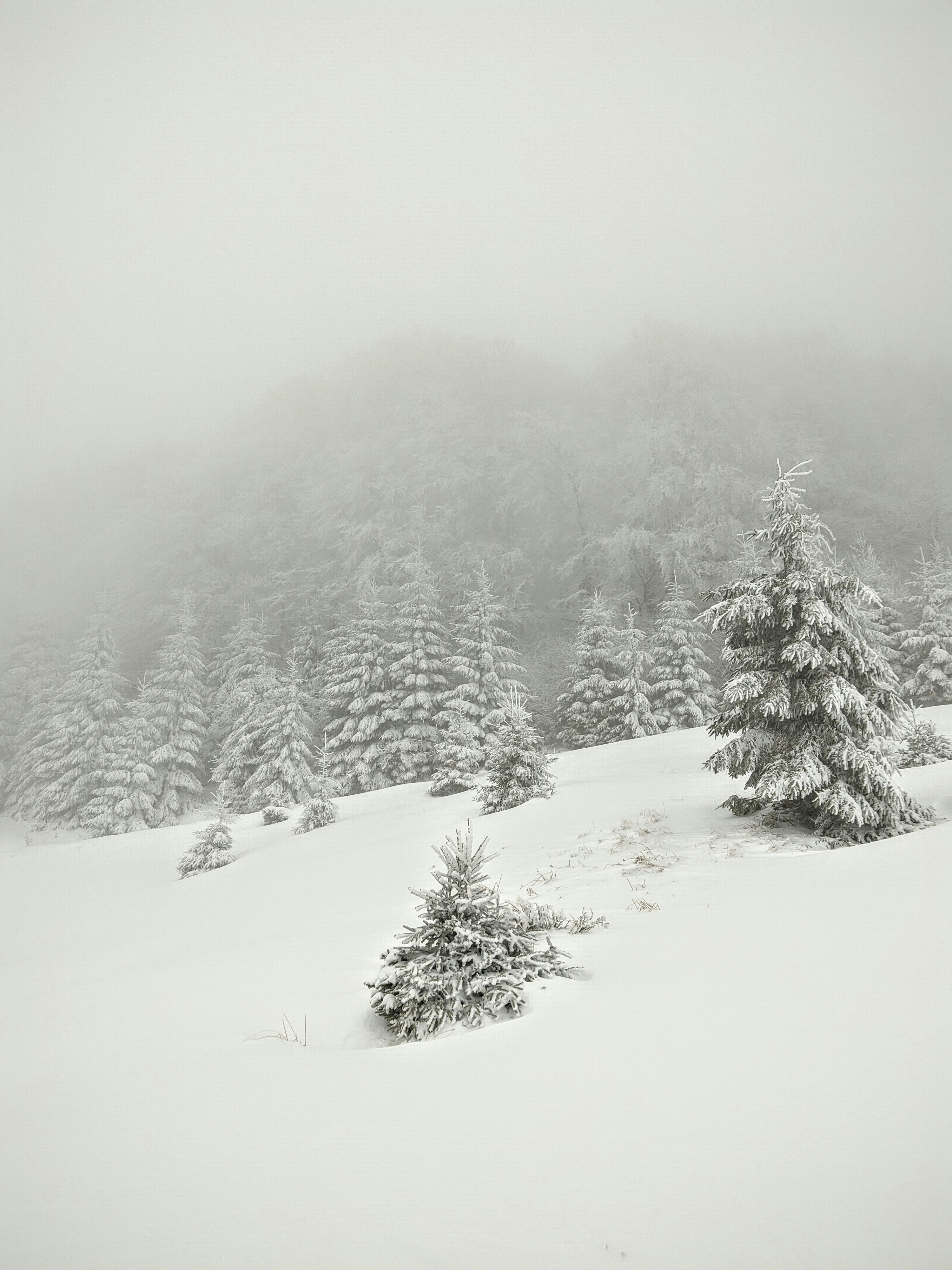 Photo by daniel_smith