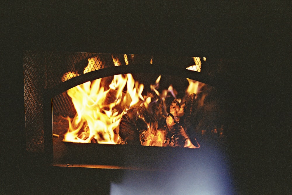 burning firewood in fire pit