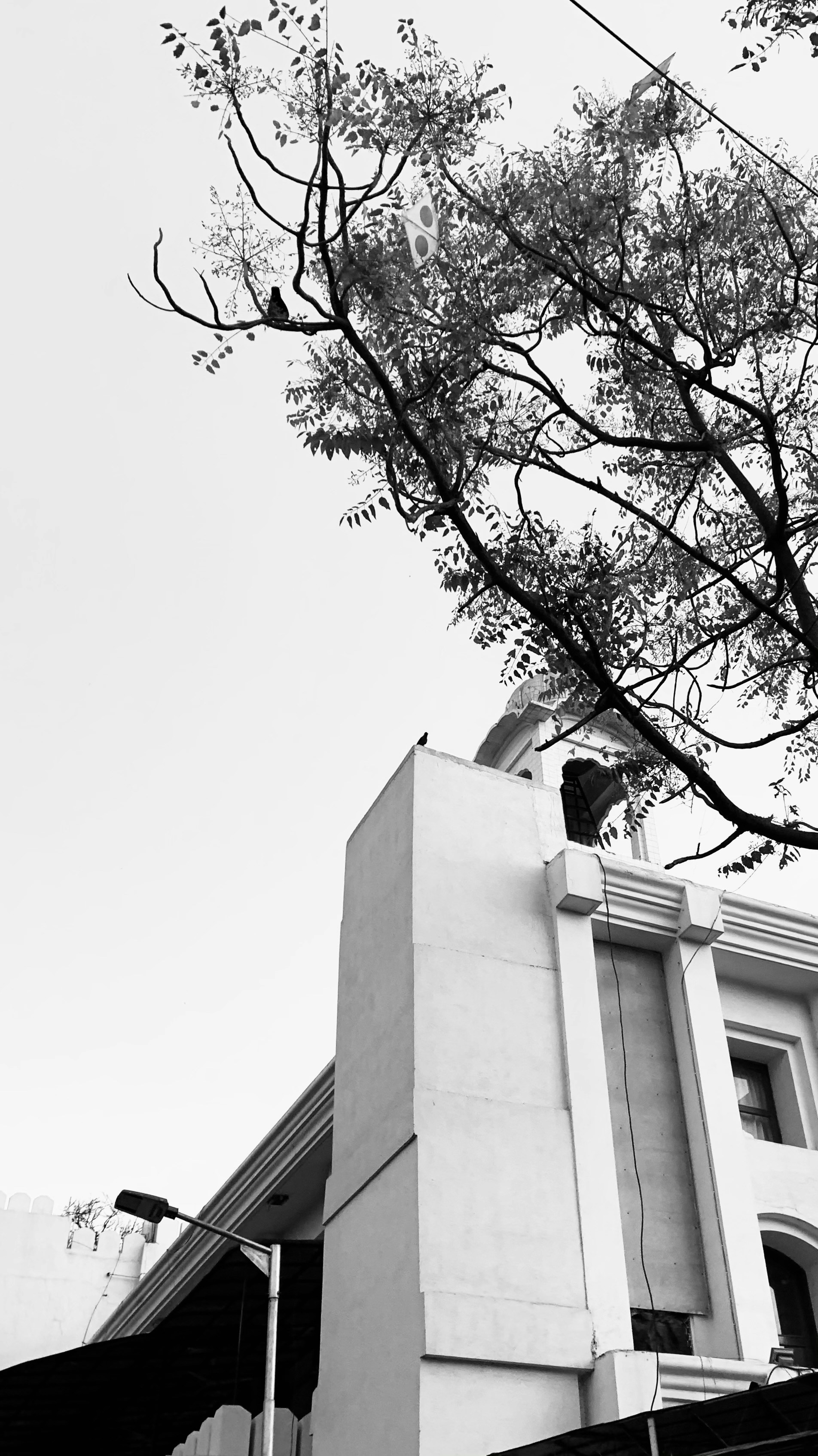 Photo by akshar_dave