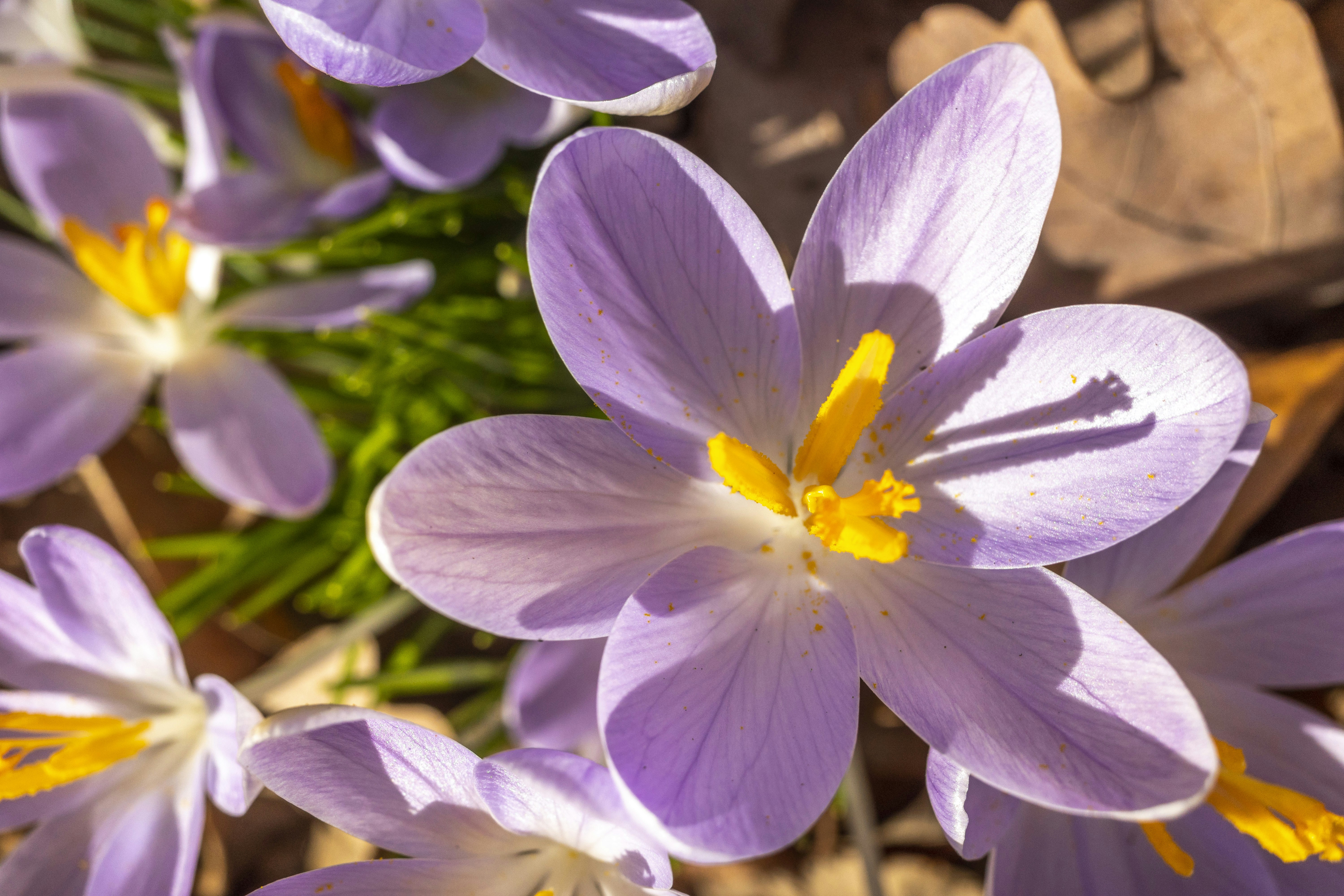 Photo by martijnbaudoin