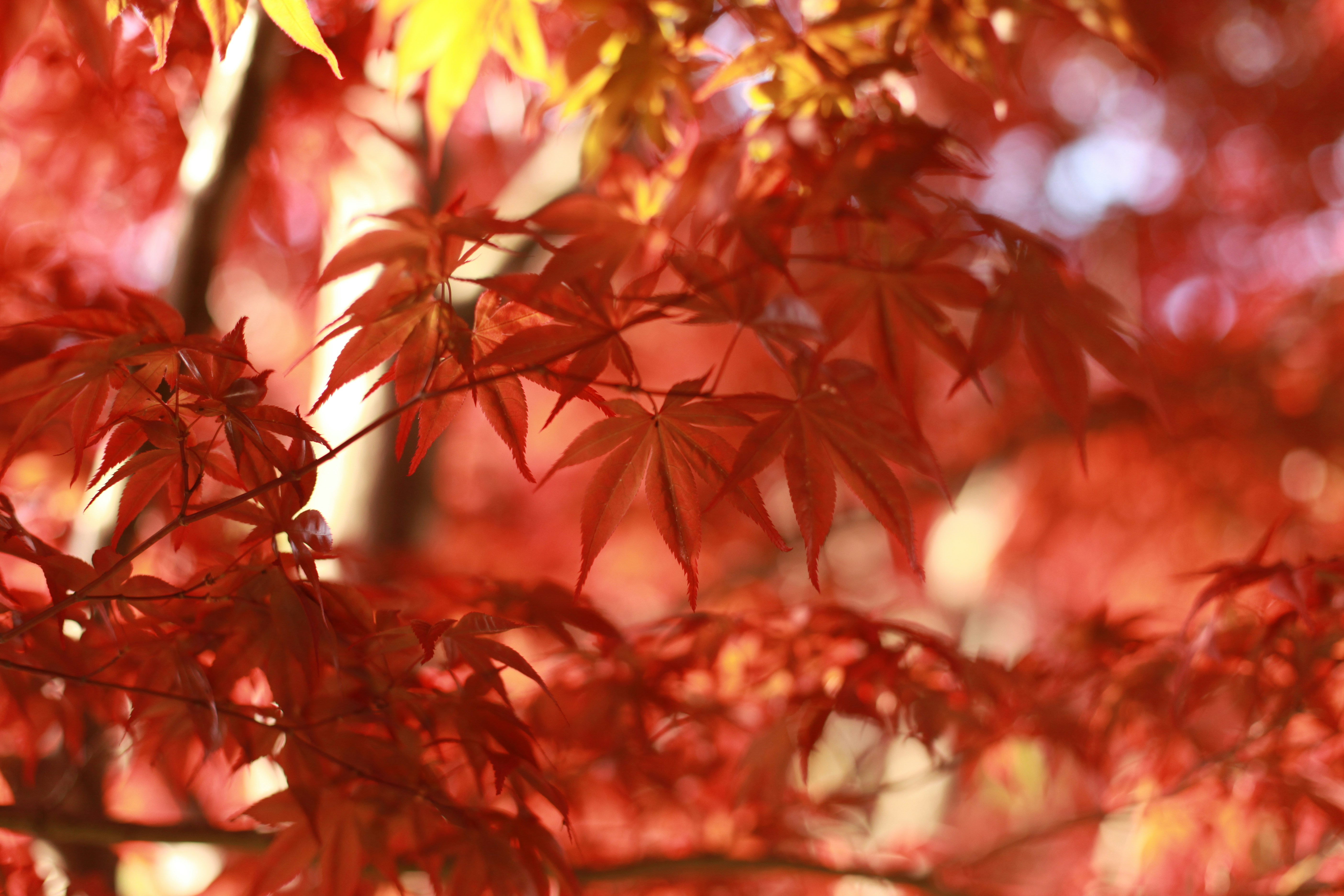 Photo by pukhalskaya_olga