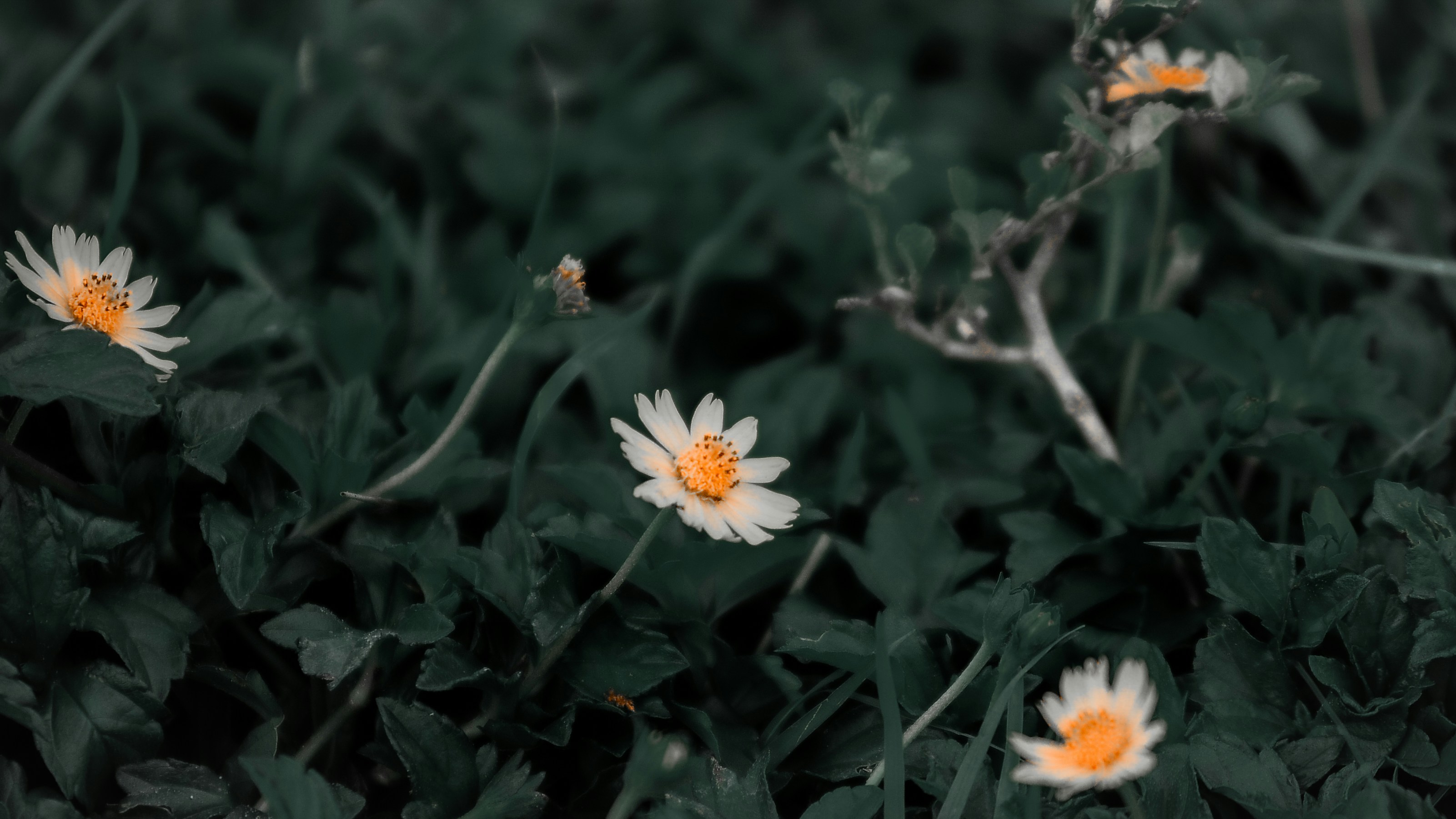 Basil Eliyas (@basil_wayfarer) | Communauté photos Unsplash