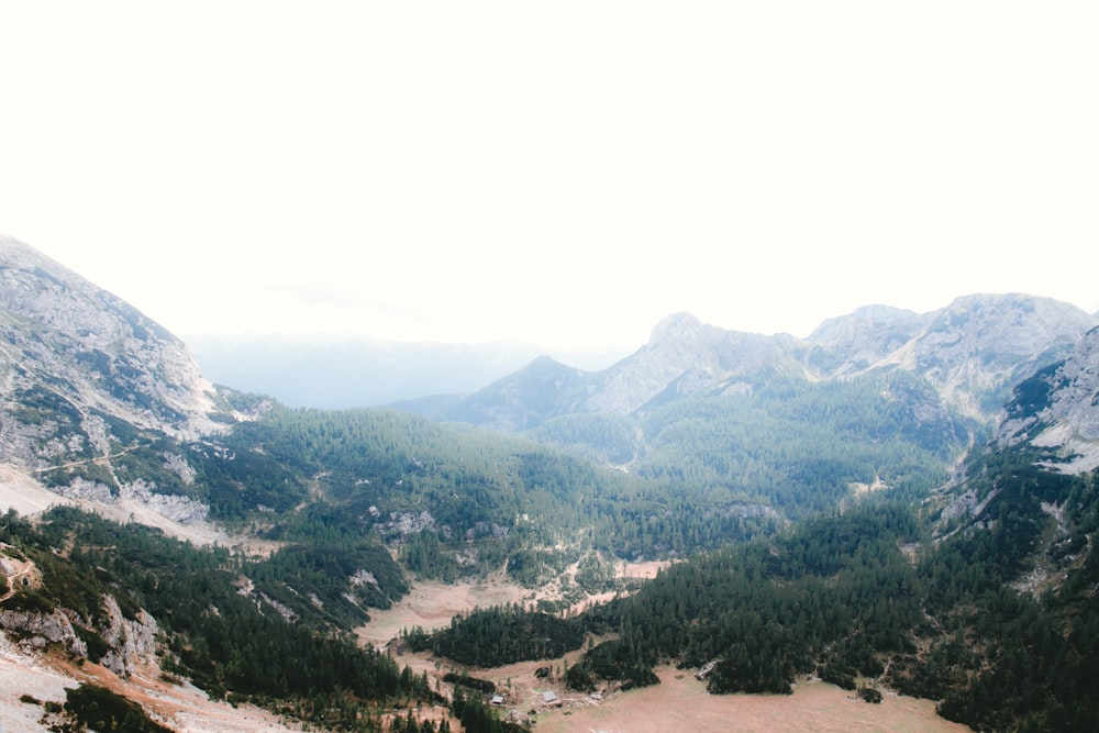 green trees on mountain during daytime