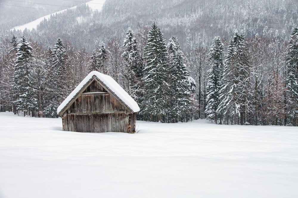 brown wooden house on snow covered ground near green pine trees during daytime