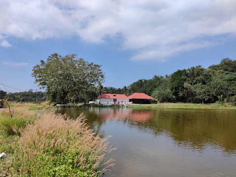A scenic view of a restored pond.