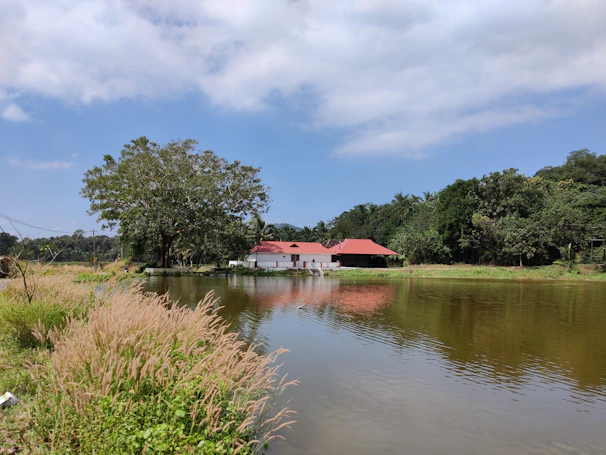 A scenic view of a quiet pond on the hunt club’s land with reflections of cypress trees.