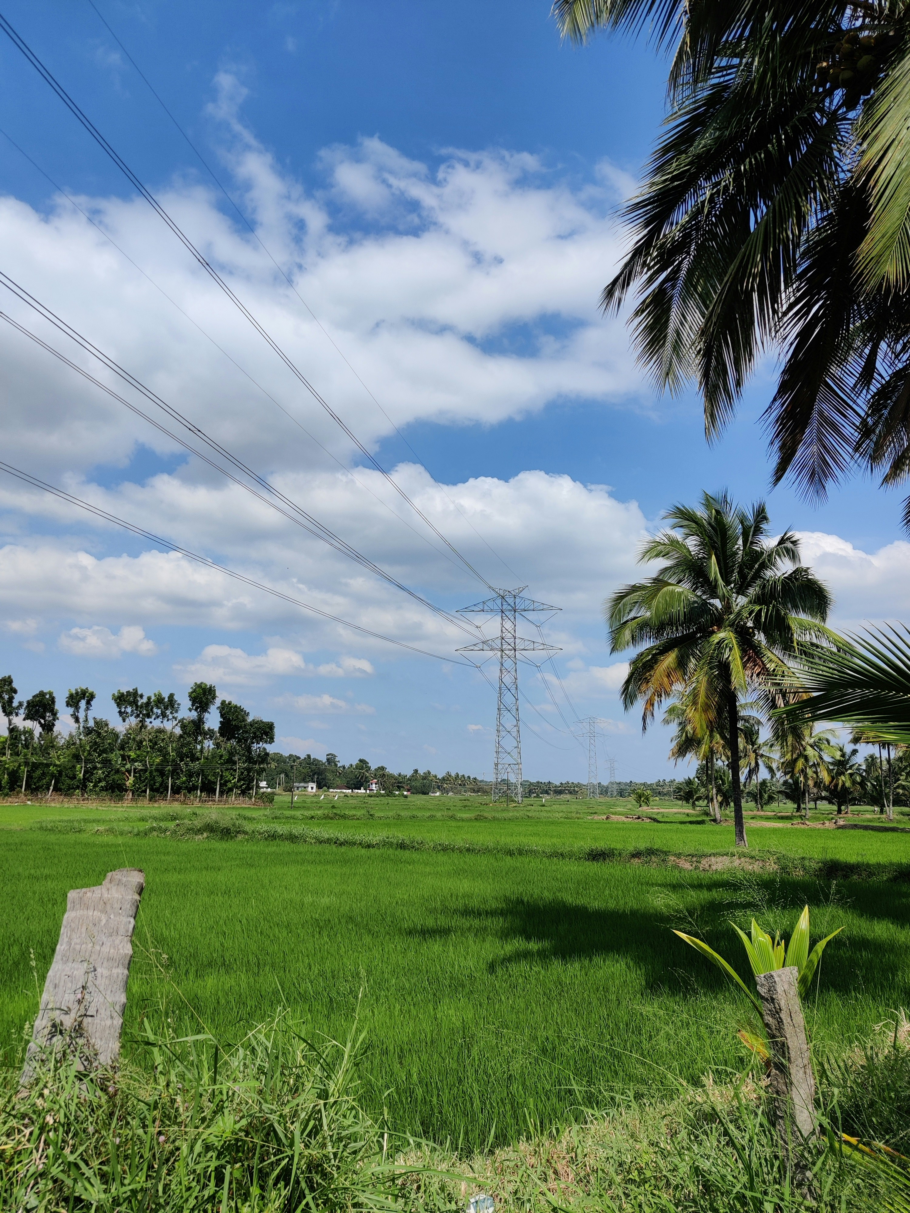 Photo by ajbeyondpixels