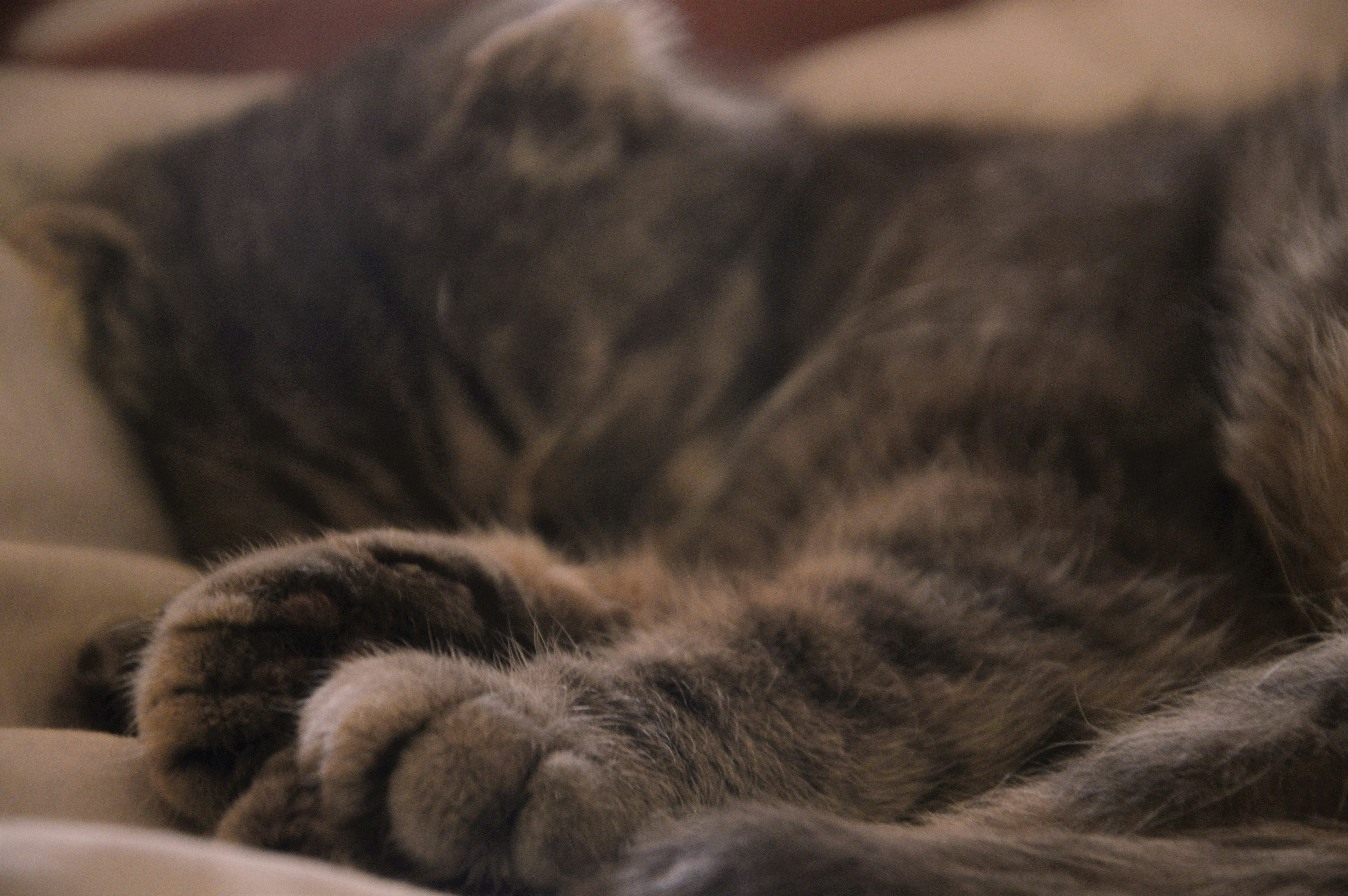 Photo by valeria_filatova