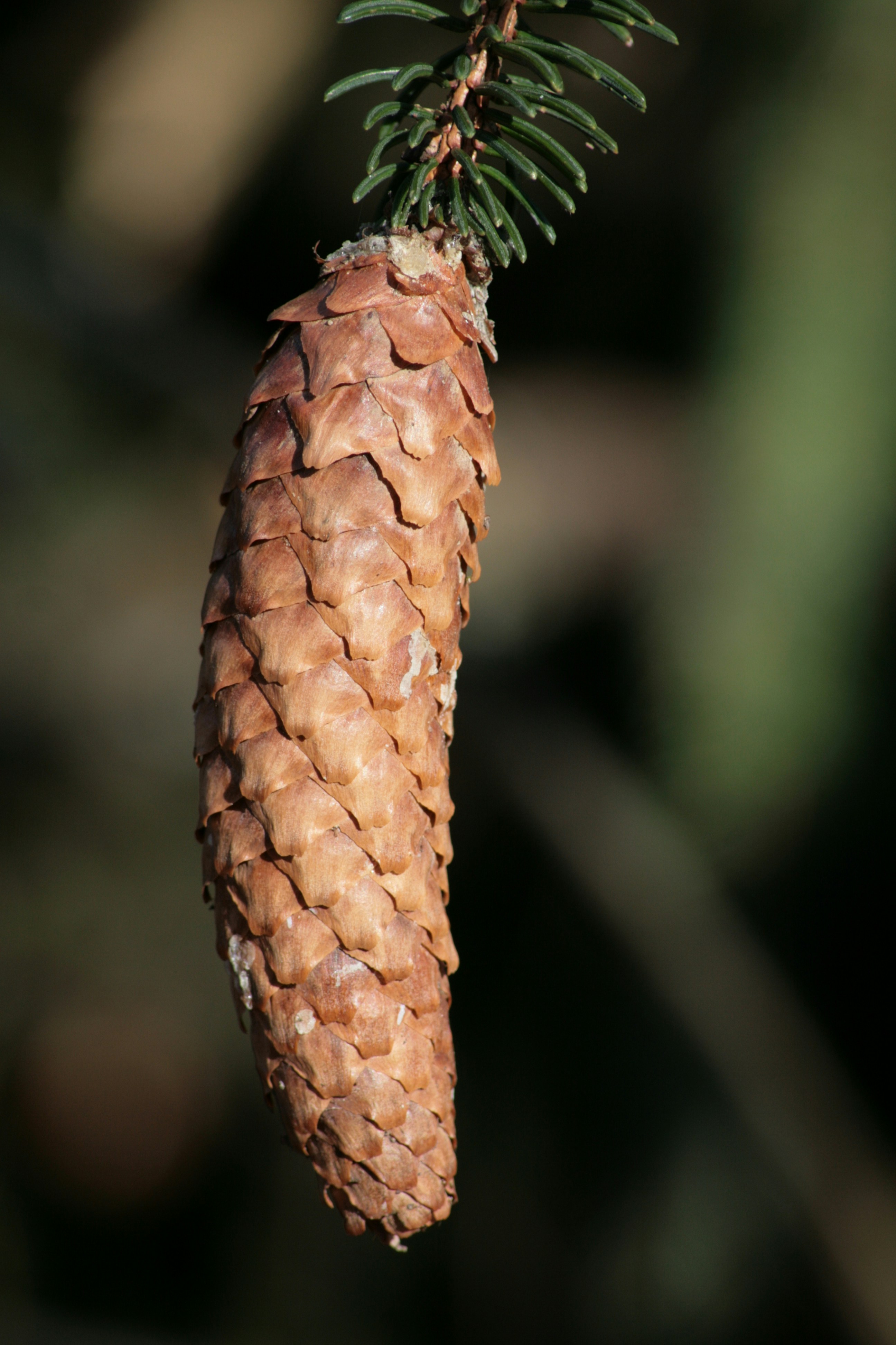 photo-1613994107564-88164a936a60?ixid=M3wxMjA3fDB8MXxzZWFyY2h8MjB8fG5vZGVwb3NpdGNhc2lub2RlbXxlbnwwfHx8fDE3NjQwOTAyODR8MA\u0026ixlib=rb-4.1.0