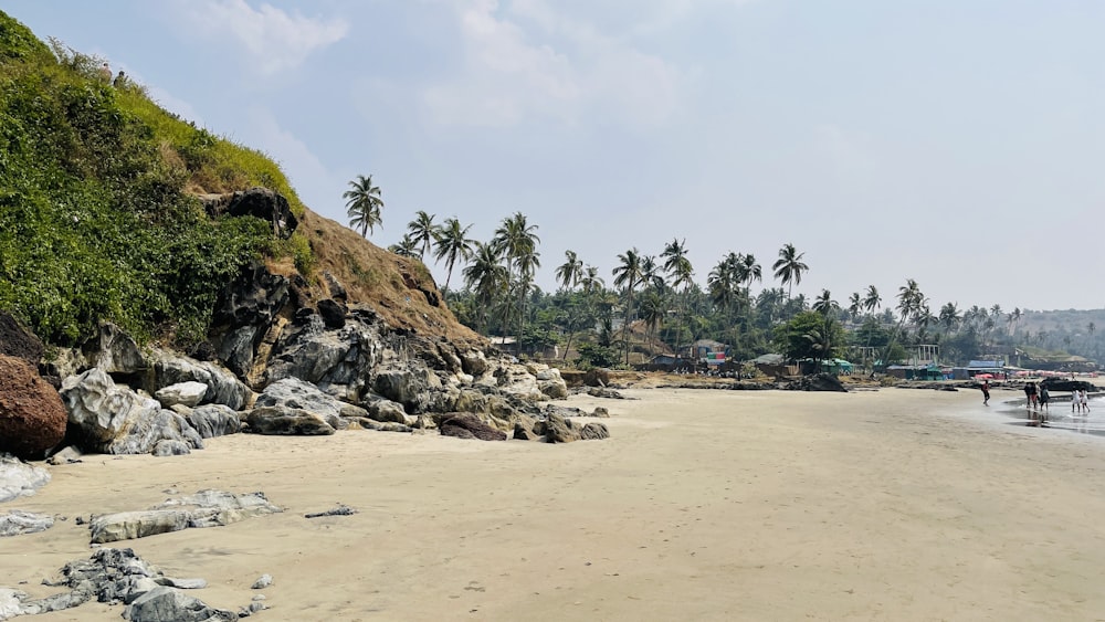 brown and green rock formation on beach during daytime