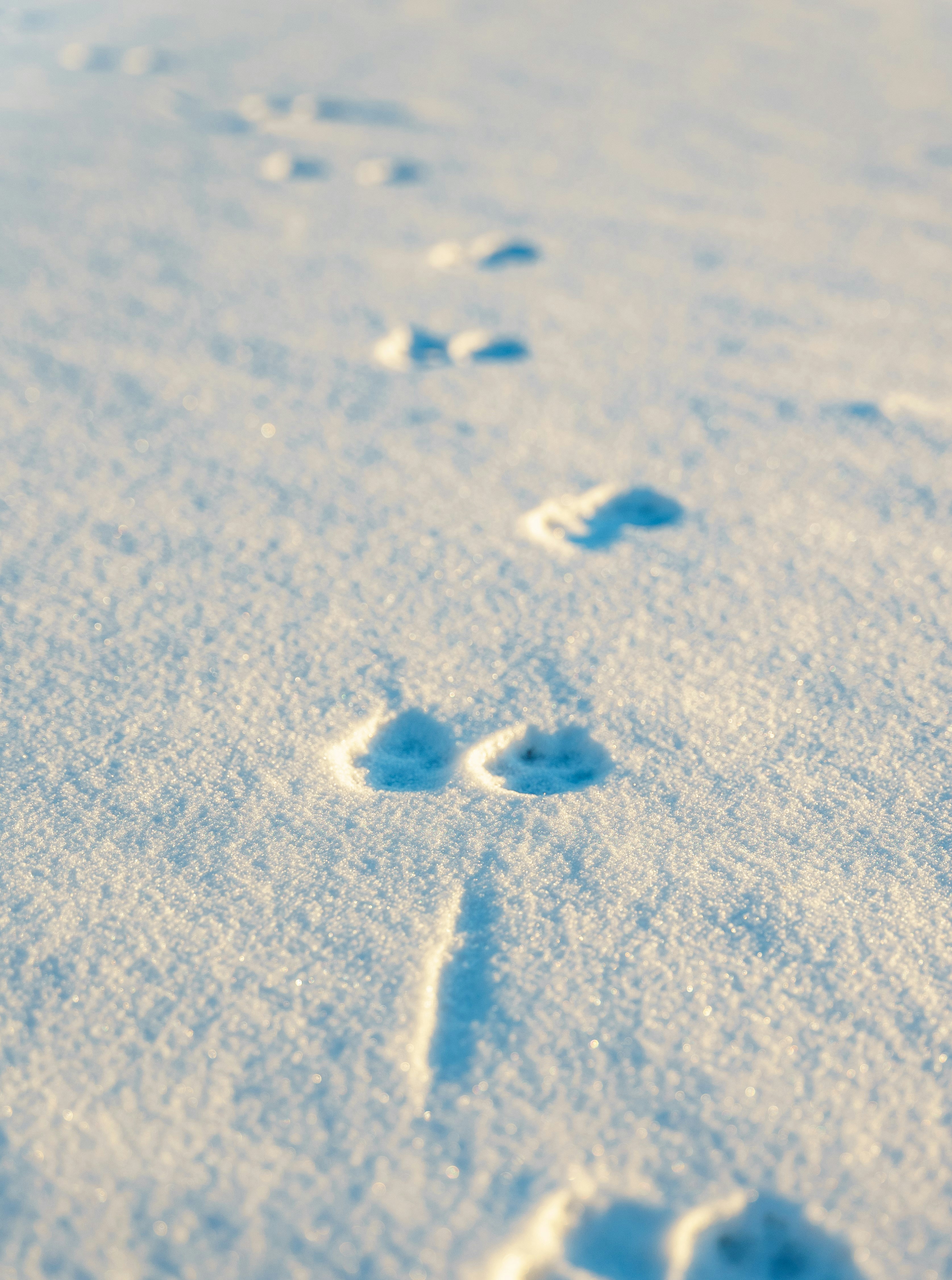 Photo by razvan_mirel