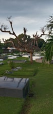 A peaceful cemetery scene featuring well-maintained gravestones surrounded by lush greenery.