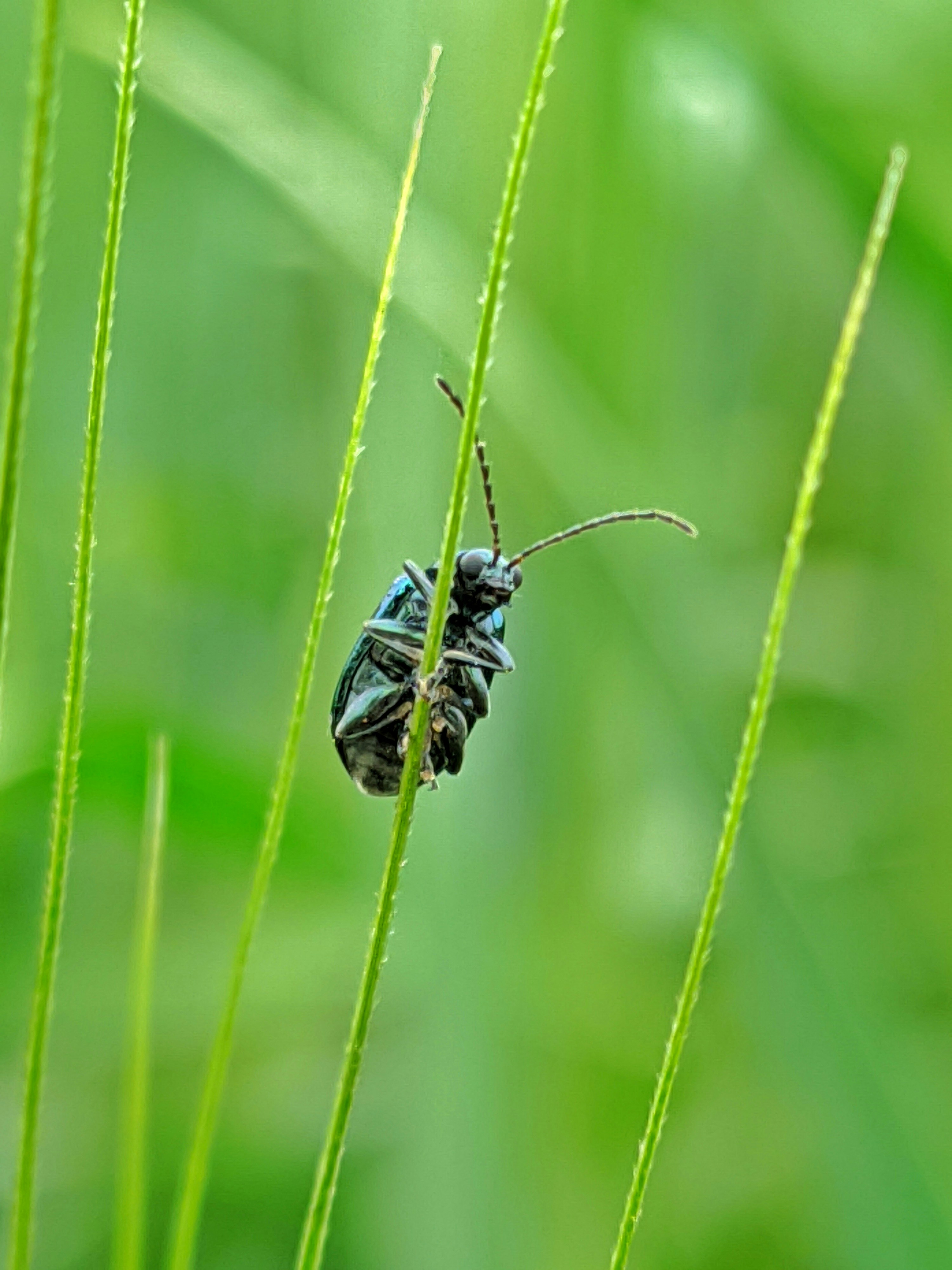 Photo by arif123_user