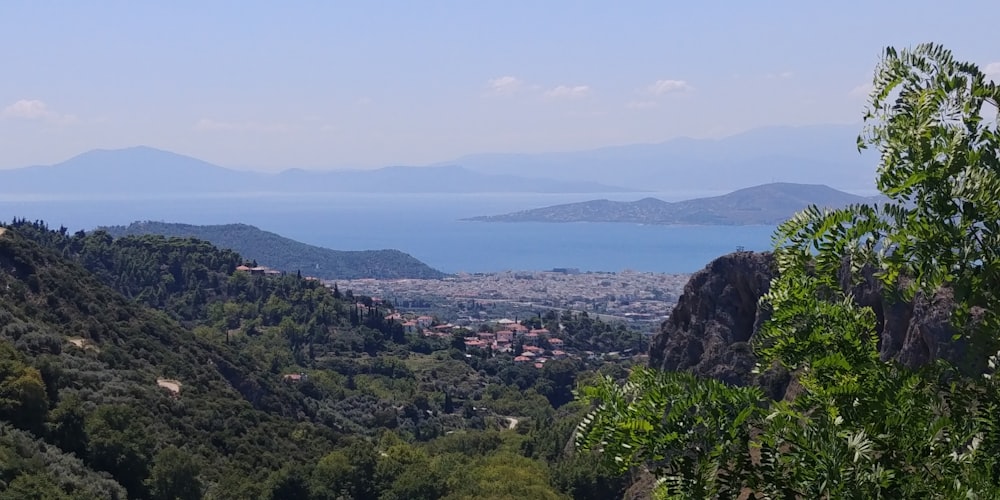 green trees on mountain during daytime