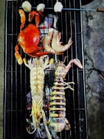 A variety of seafood including a red crab, two large prawns, and a lobster are placed on a grill over smoldering coals. Above them, skewered pieces of food, possibly scallops or mushrooms, are also being grilled. The grilling surface is black with visible grill marks and the coals below emit a reddish glow.