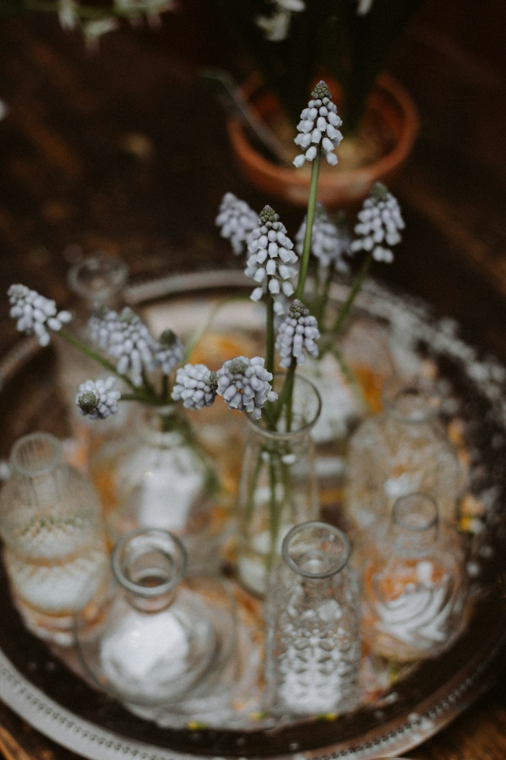 clear glass bottle on brown ceramic round plate