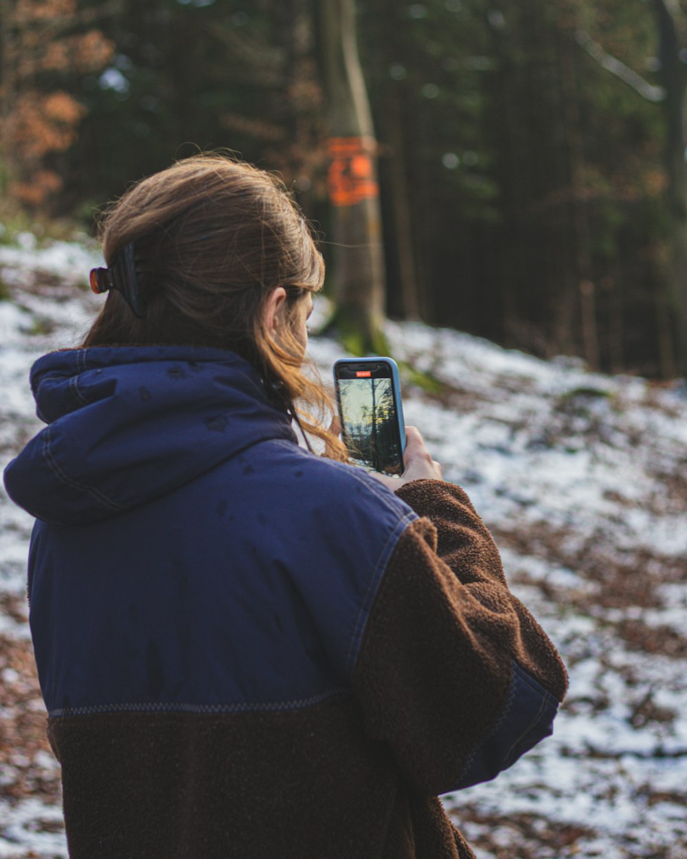 woman in blue hoodie taking photo of trees during daytime