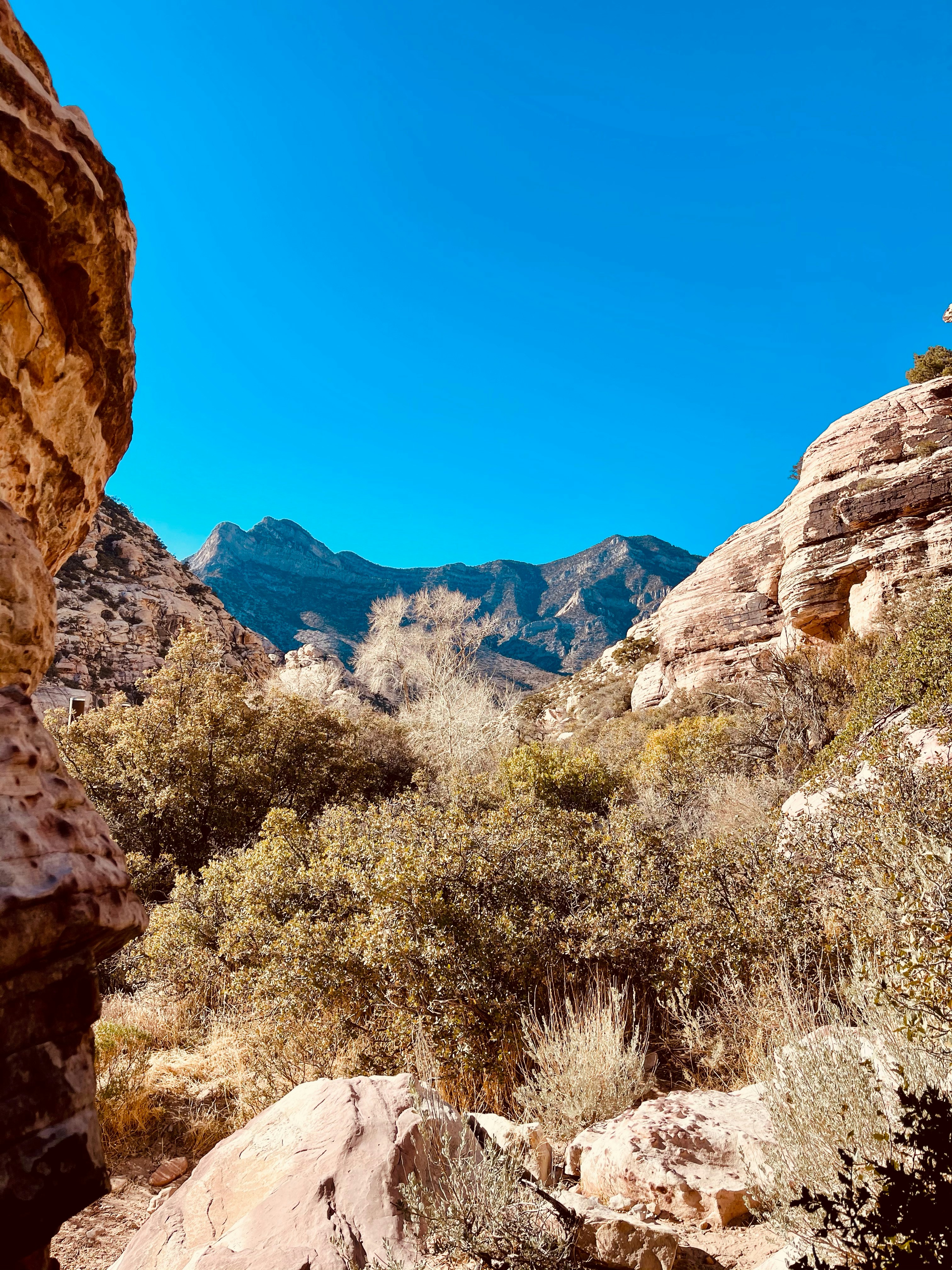 Photo by crystaltubens