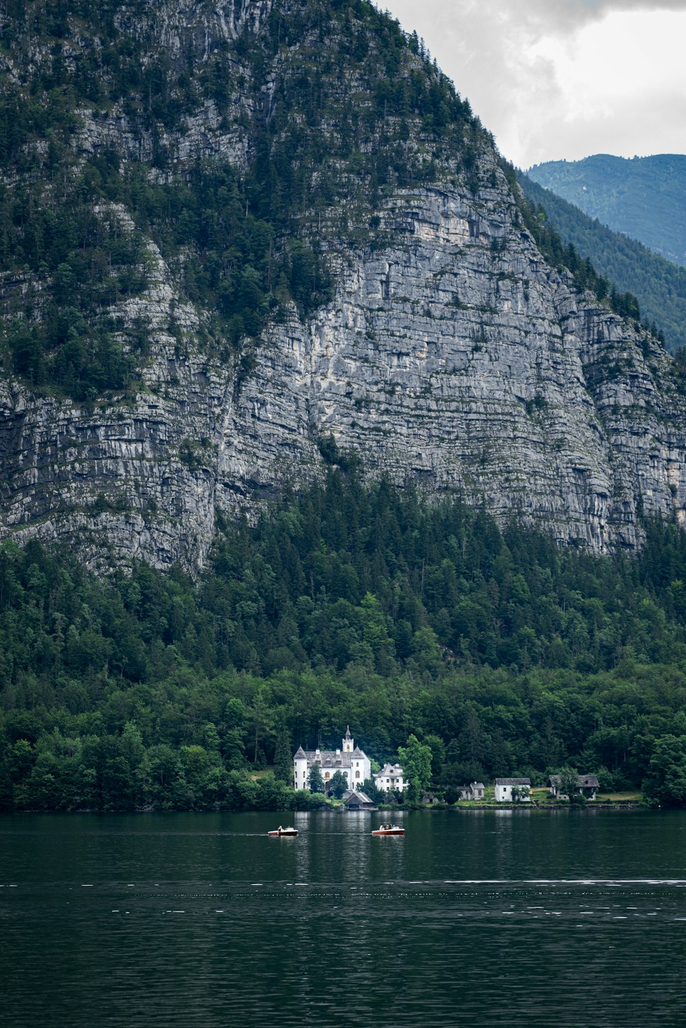 white and black boat on water near green trees during daytime