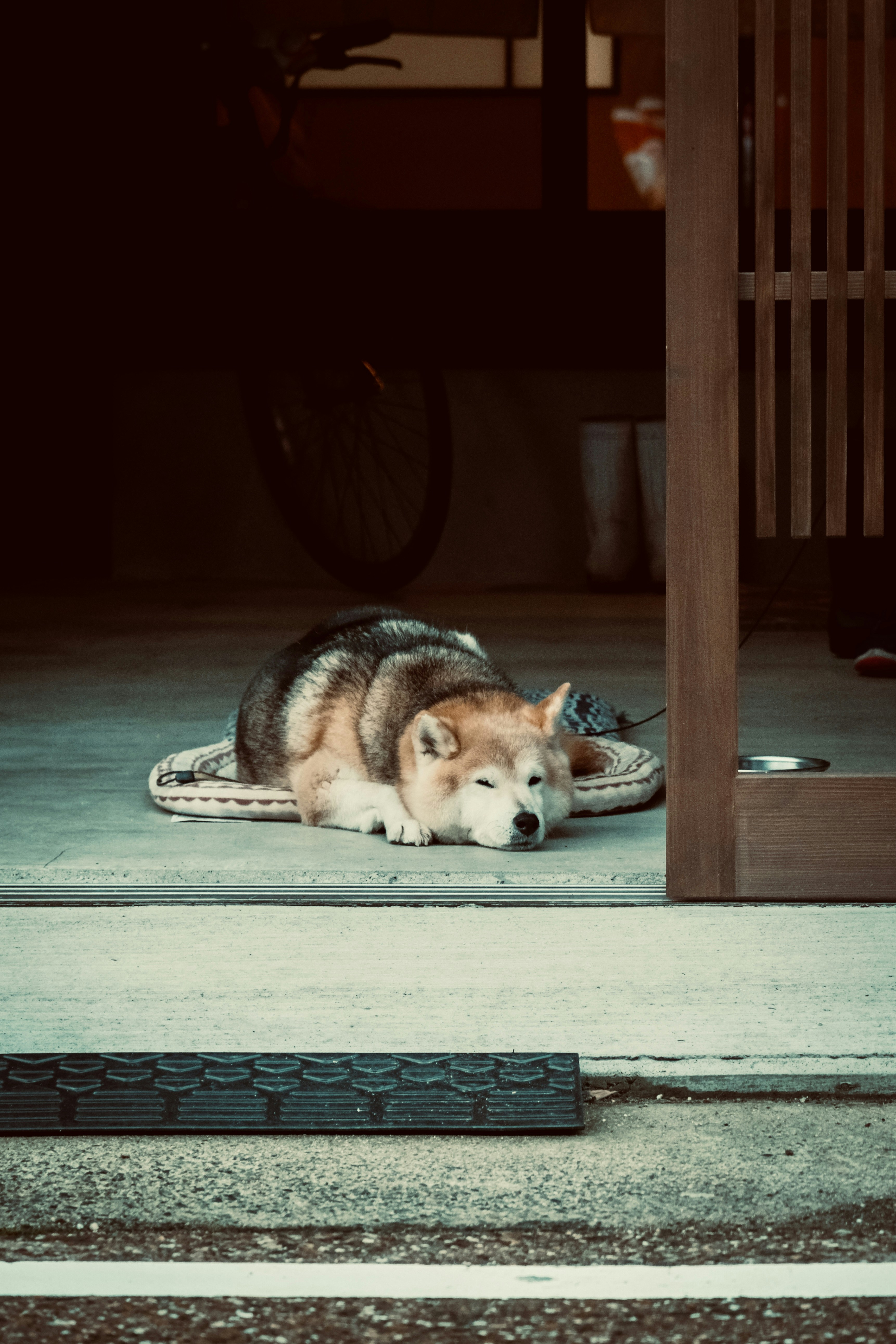 shikoku sleeping