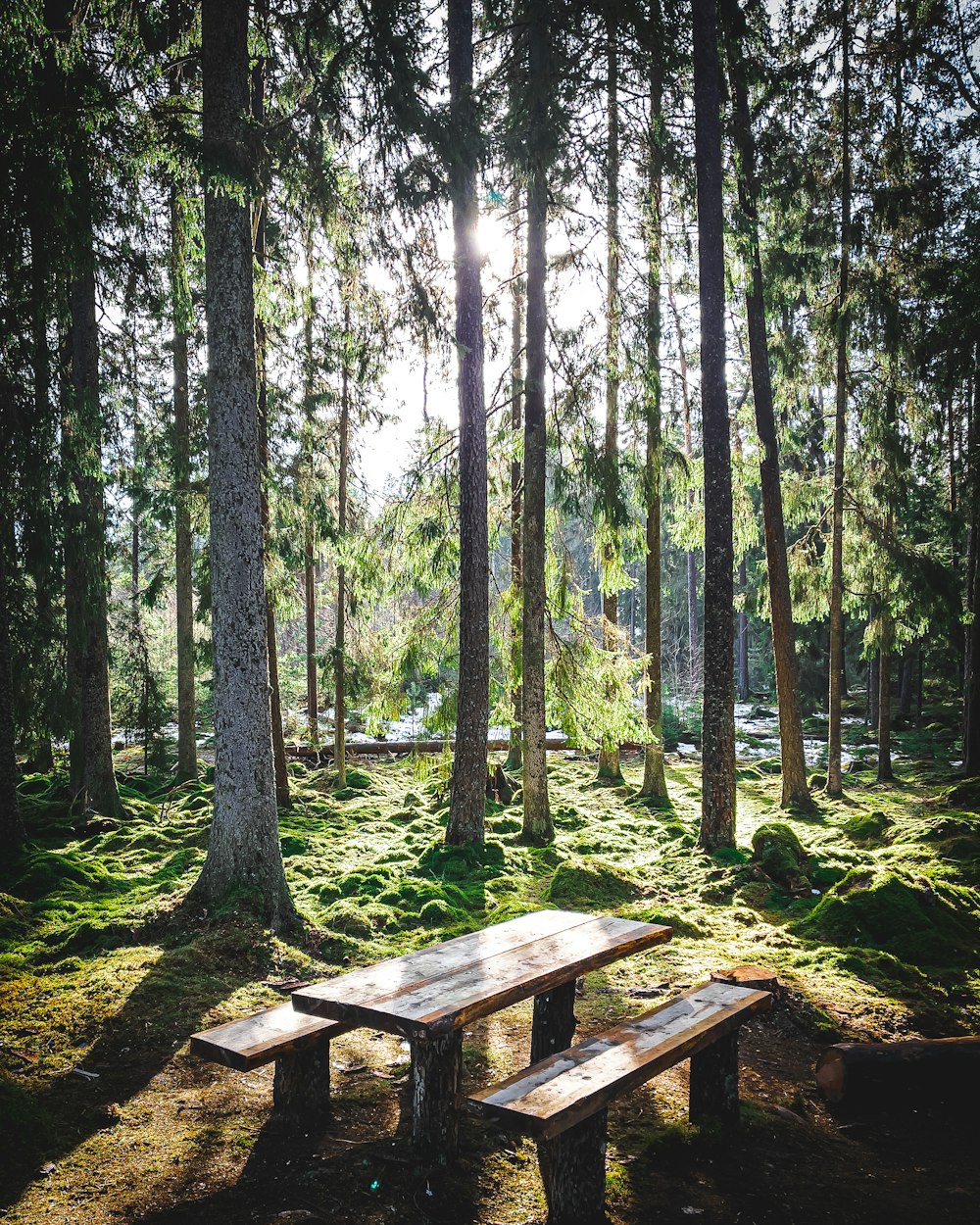 昼間は緑の木々に囲まれた茶色の木製のピクニックテーブル