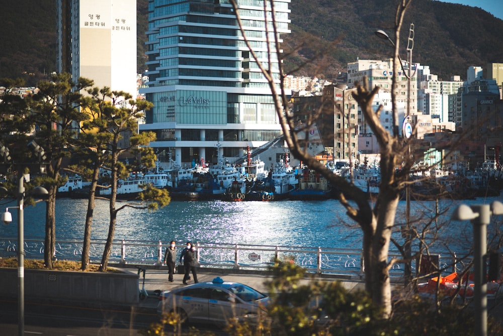 people walking on sidewalk near body of water during daytime