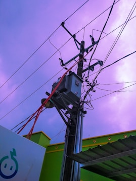 A utility pole with numerous electrical wires is prominently featured, set against a sky with shades of purple. An electrical transformer is mounted on the pole, with red and black wires extending outward. Buildings with vibrant green walls and an ornamental rooftop edge are visible in the background.