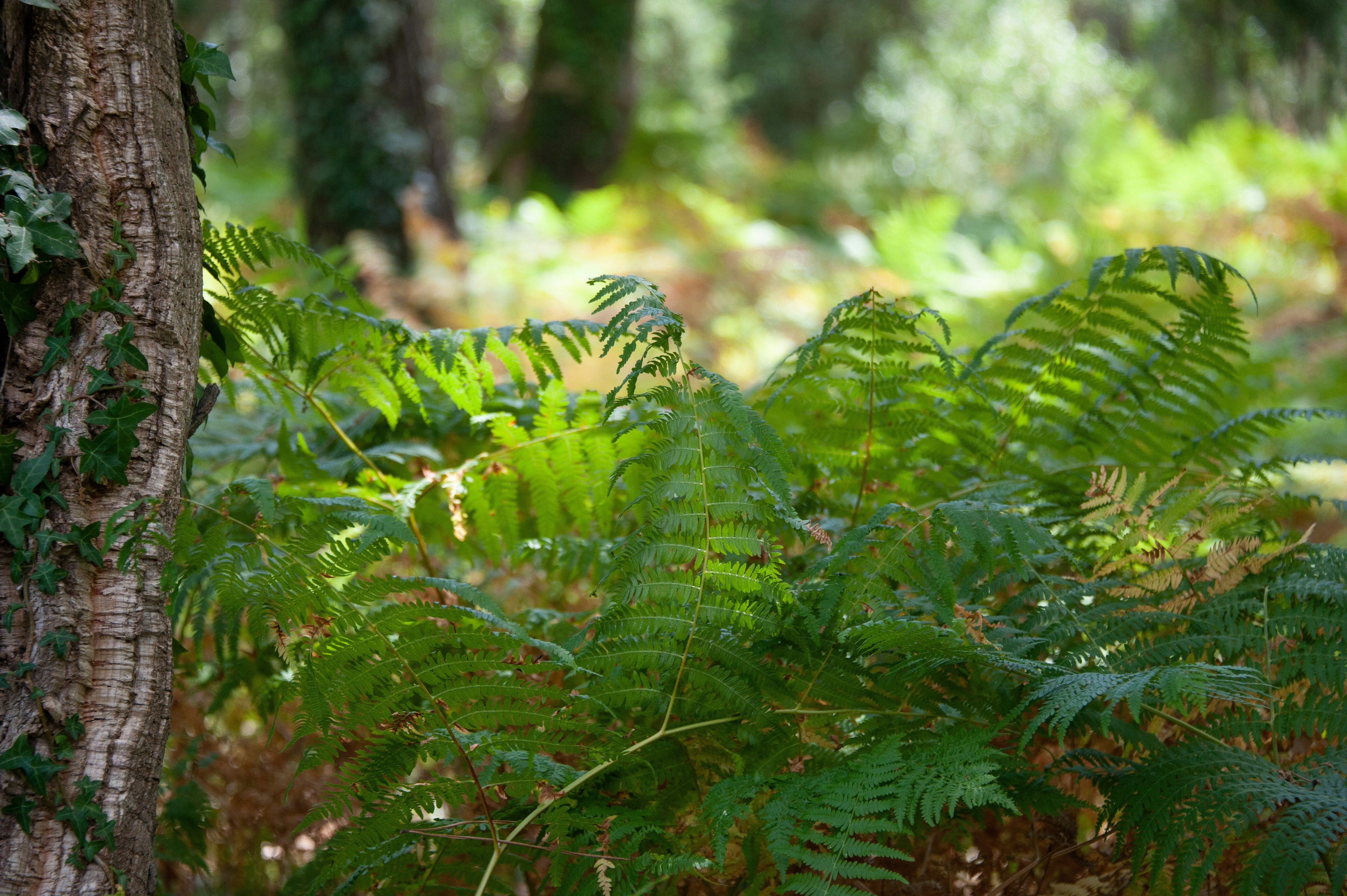 Photo by jeffreyfotografie