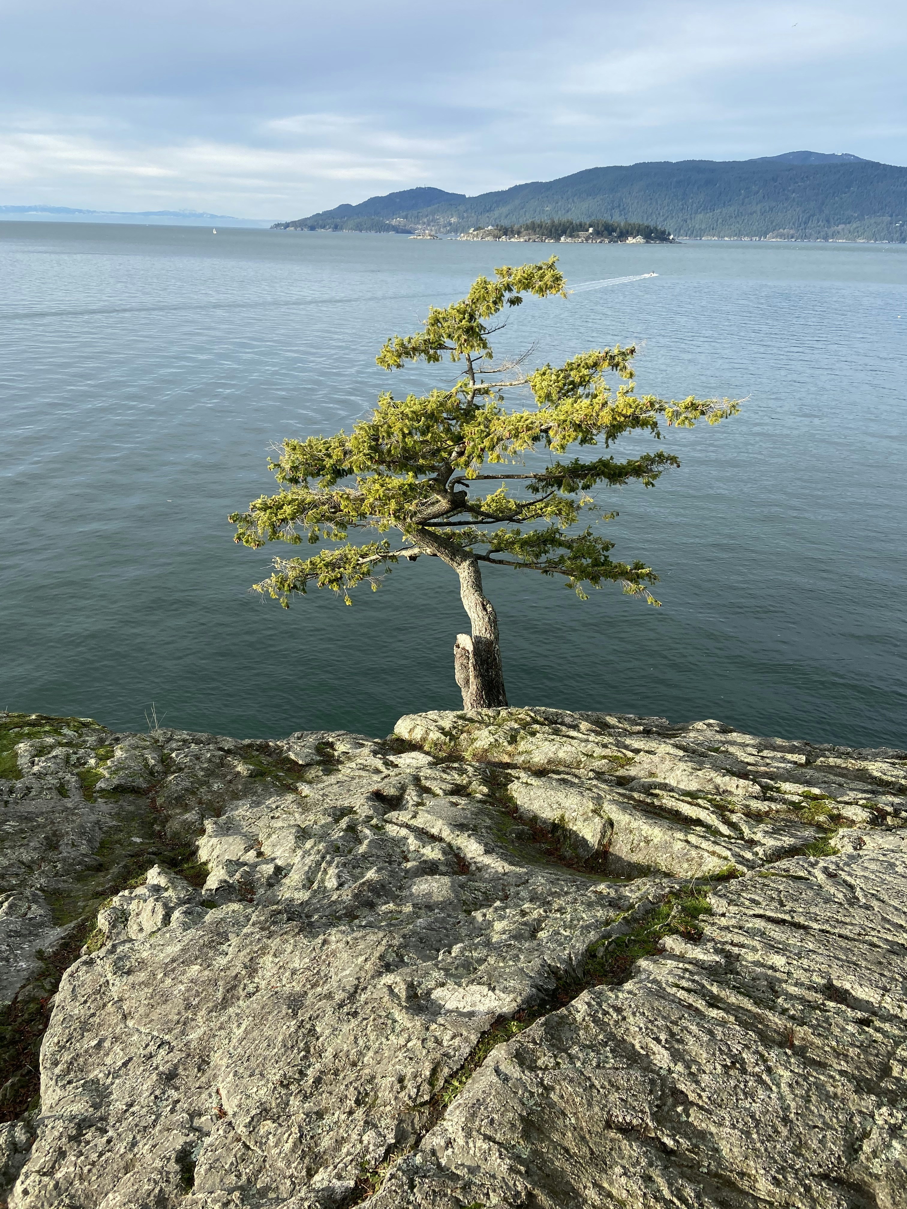 Photo by mia_mackenzie