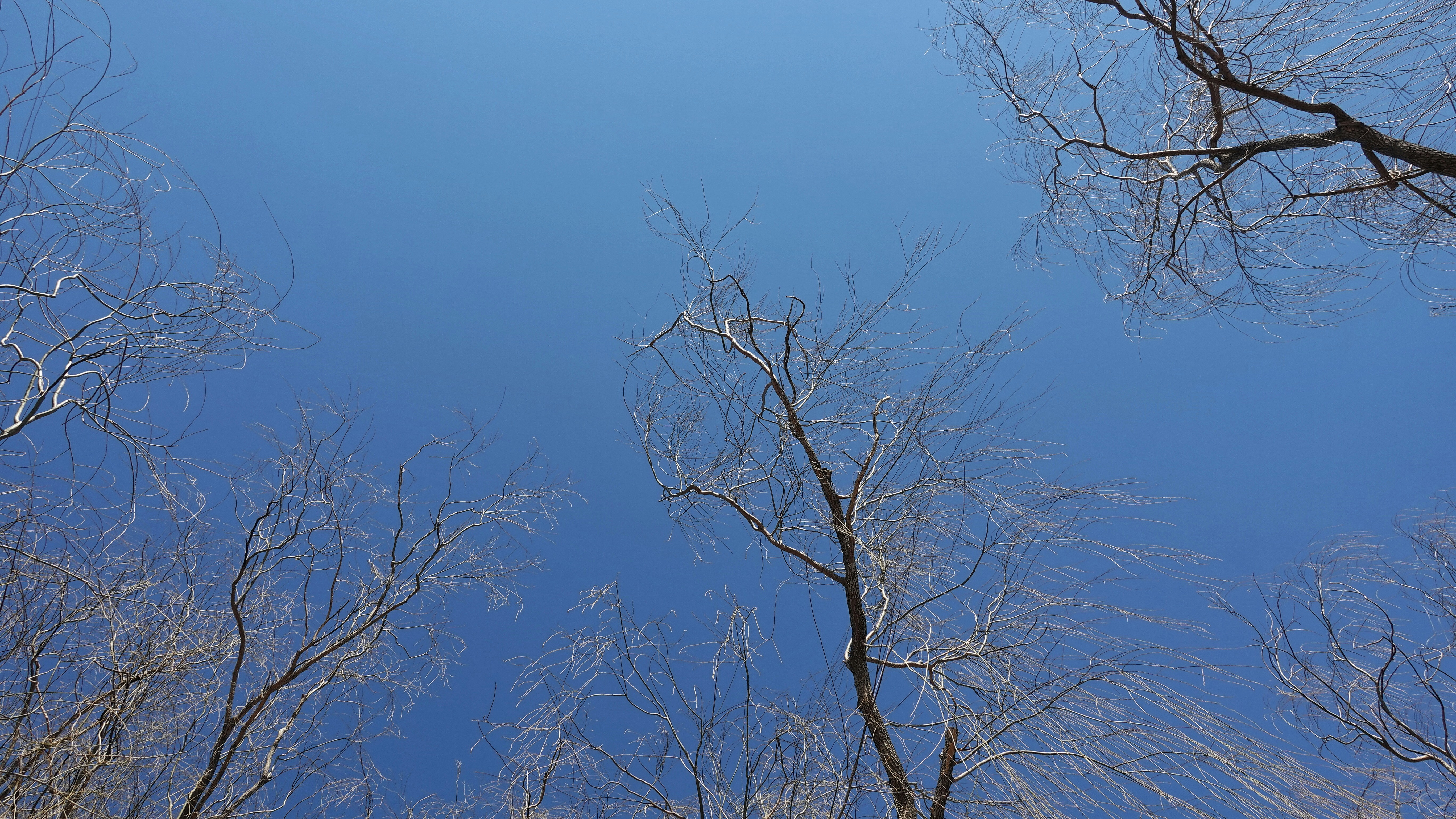 Photo by rissun_line