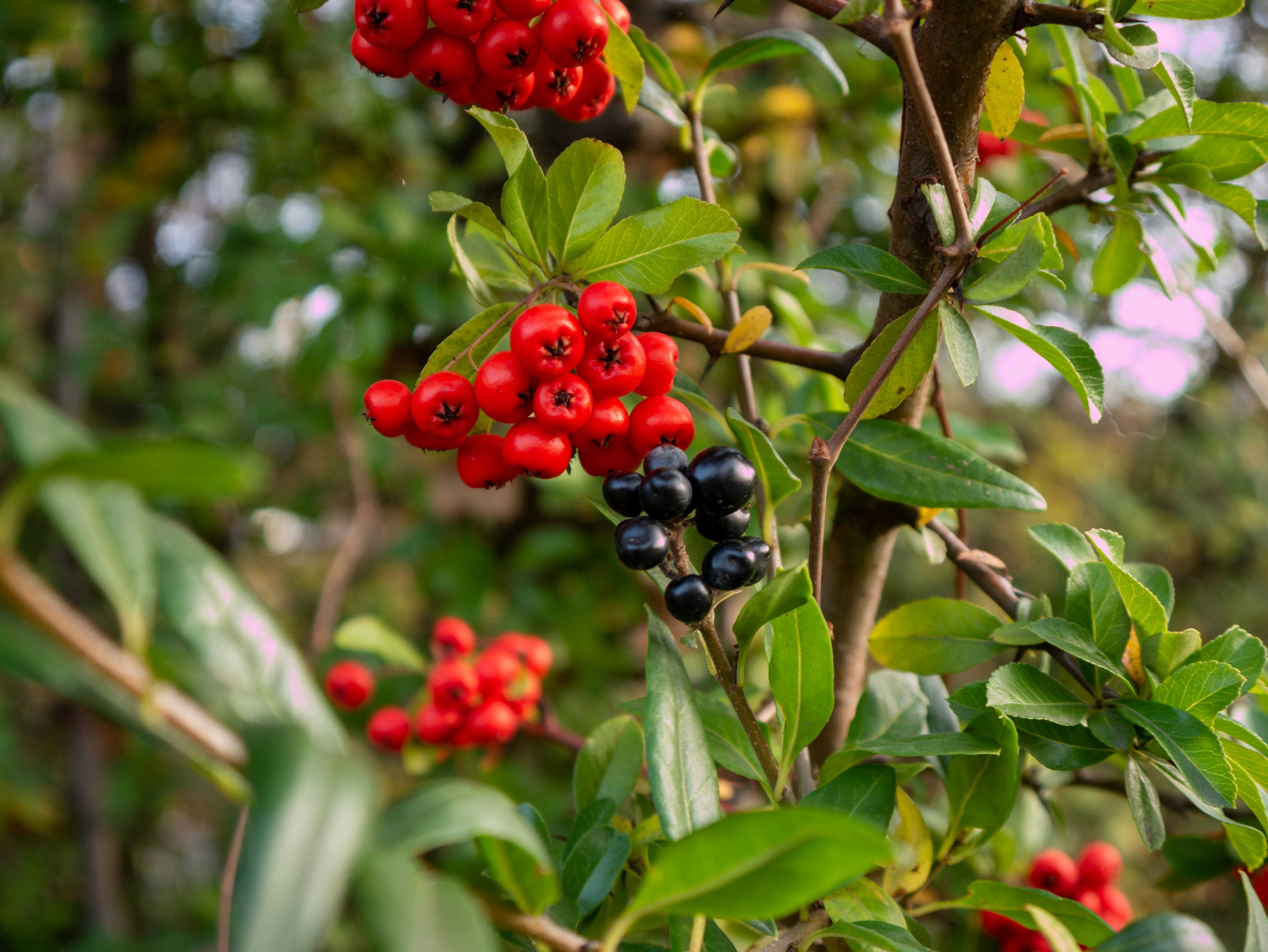 Photo by jameskitt616