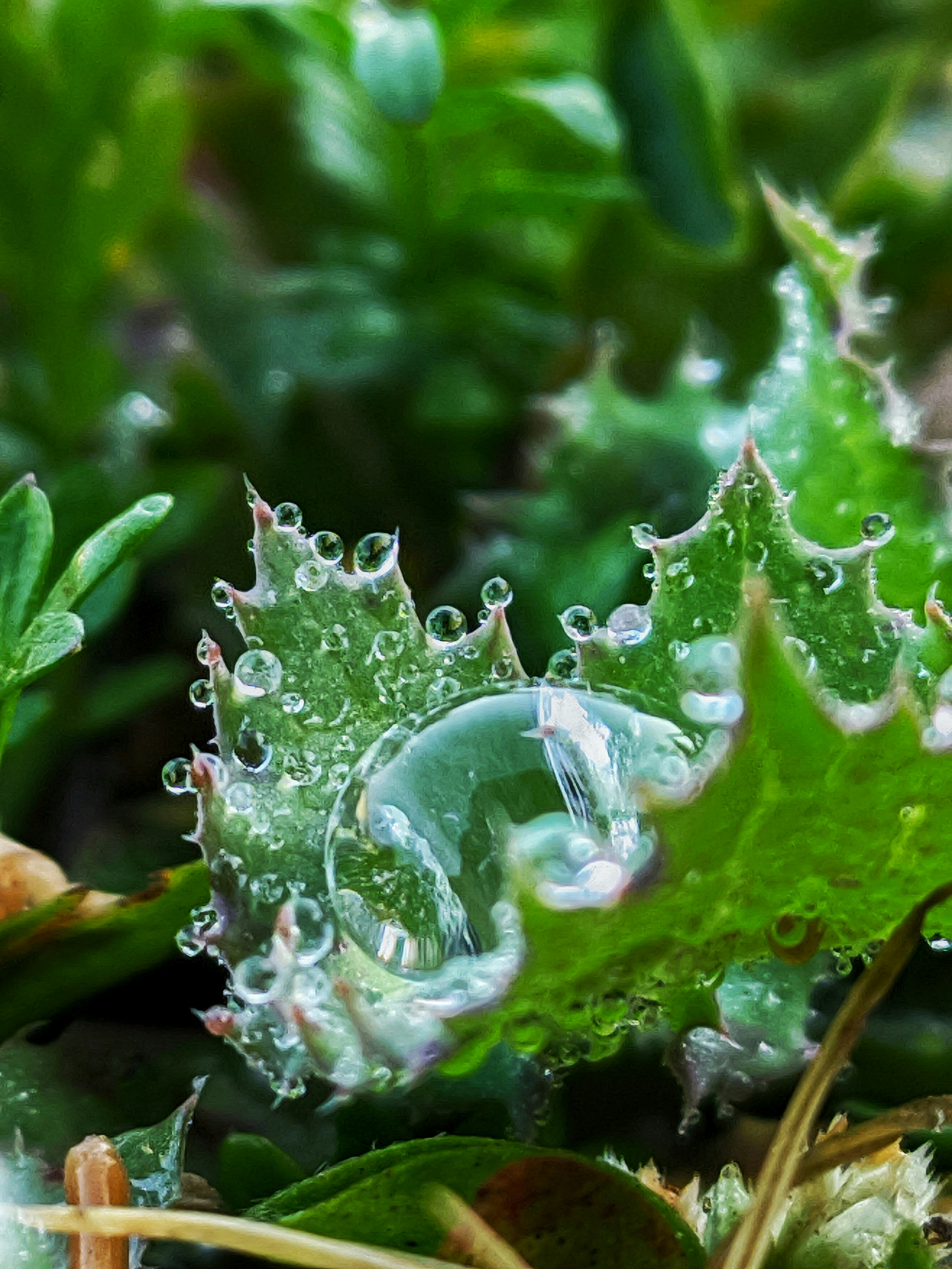 Photo by arif123_user