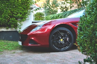 A sleek car parked on a driveway, its paint protected and polished to a mirror finish.
