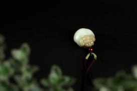 A white and beige carved pendant with a round shape featuring a small figure, likely made of jade or similar material, is seen against a dark background. A red bead is attached to the bottom with green and brown strings. The foreground is blurred with green leaves out of focus.