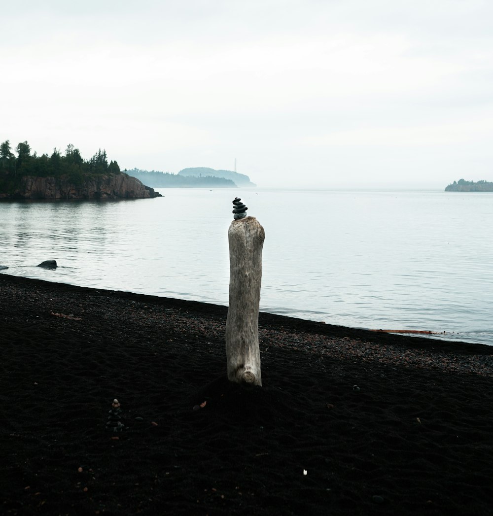 brown wooden dock on sea during daytime