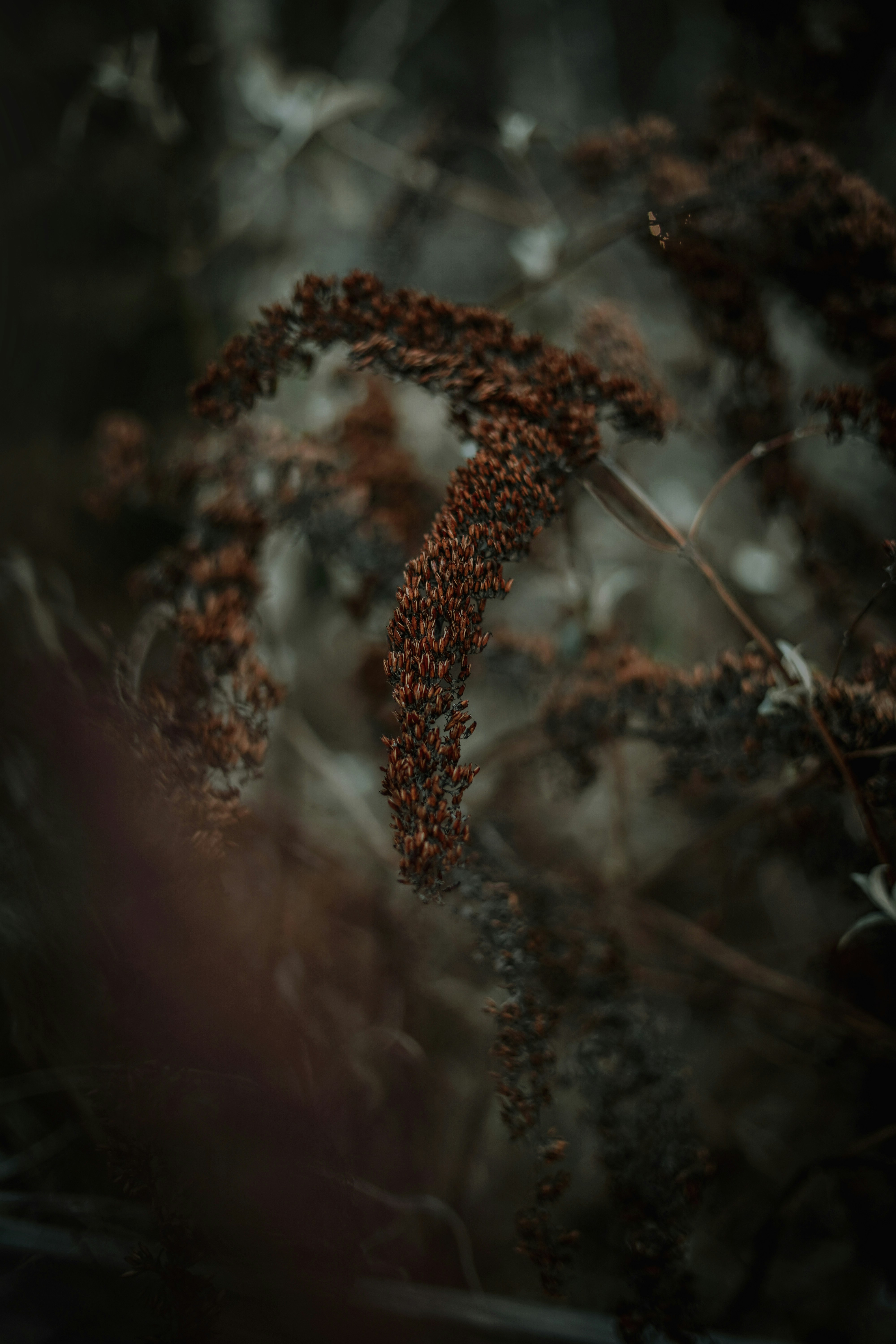 Photo by dubai_love_story