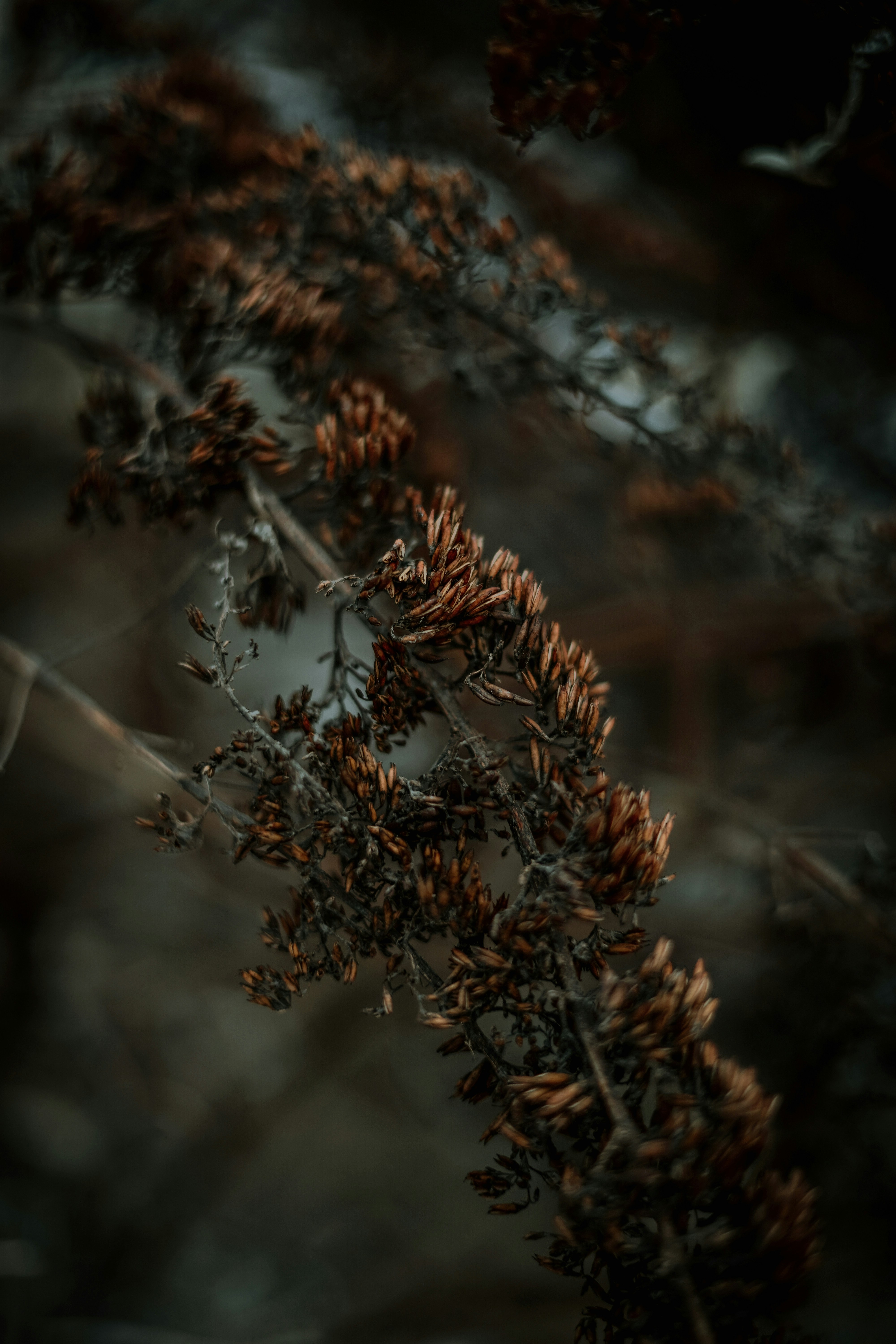 Photo by dubai_love_story