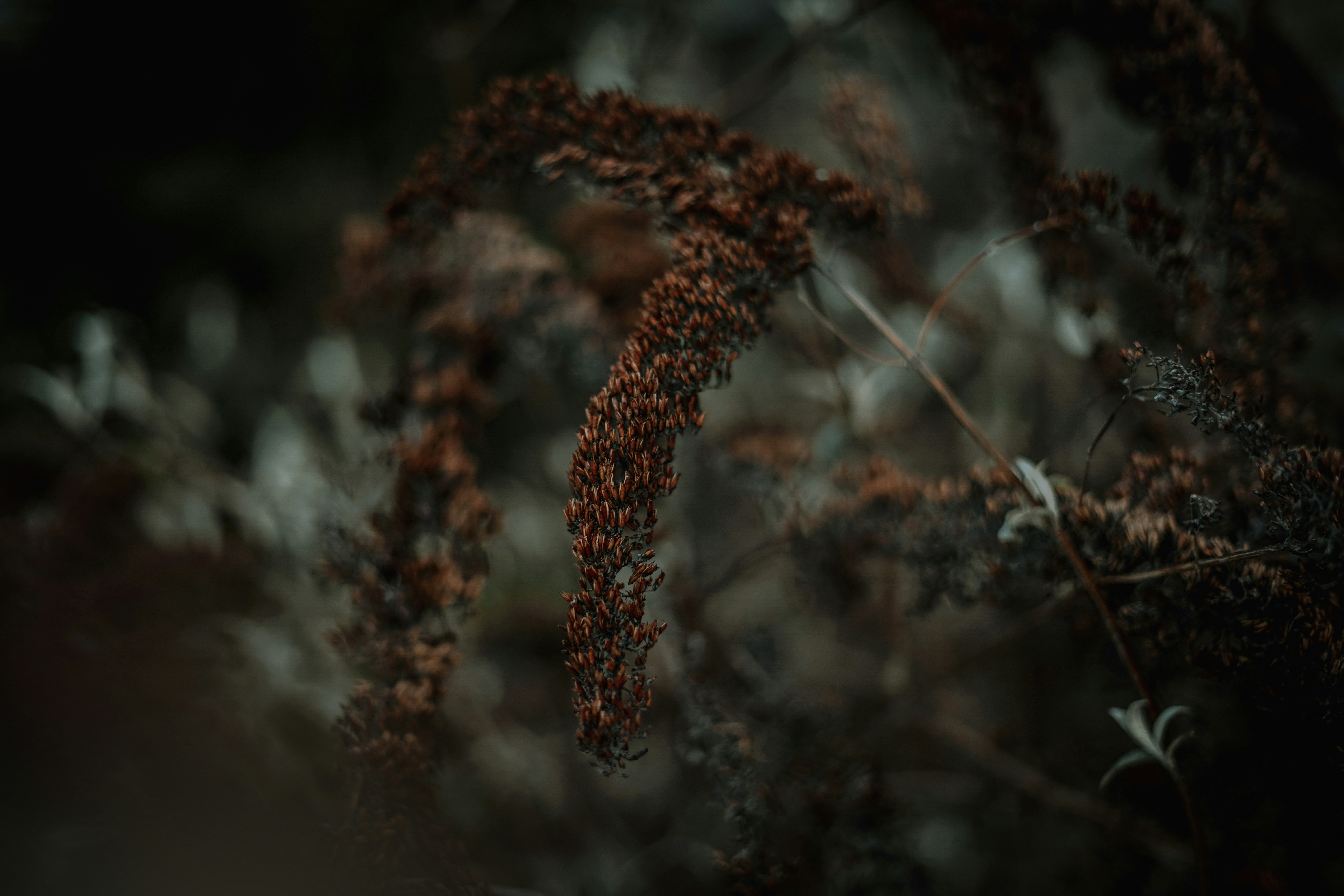 Photo by dubai_love_story