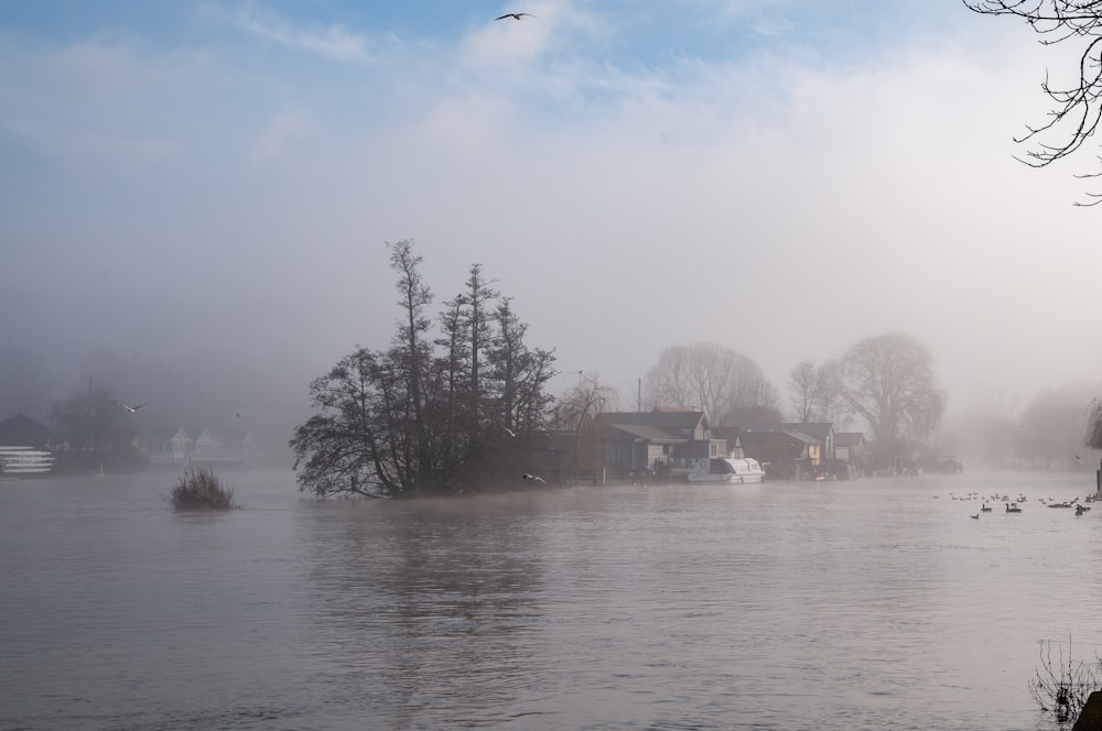 white and brown house near trees and body of water during daytime