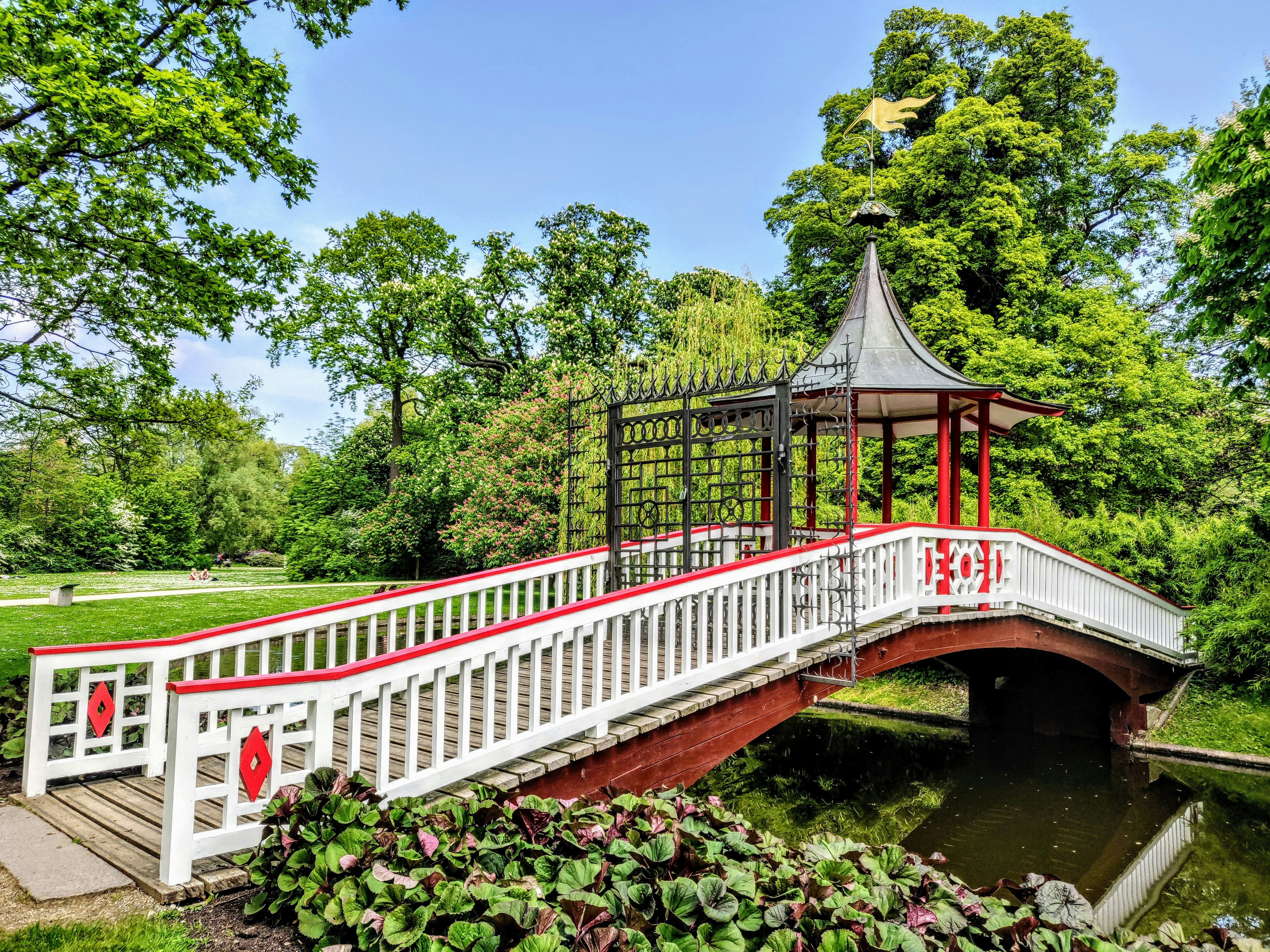 red and white bridge over river