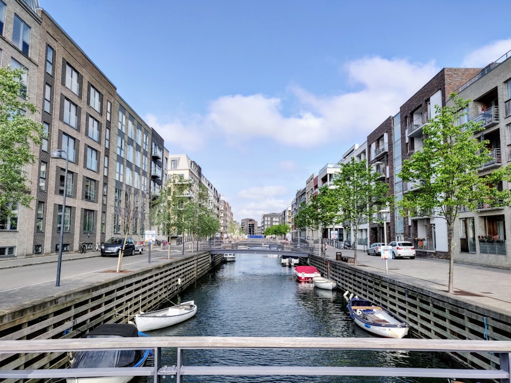 white boat on river between buildings during daytime