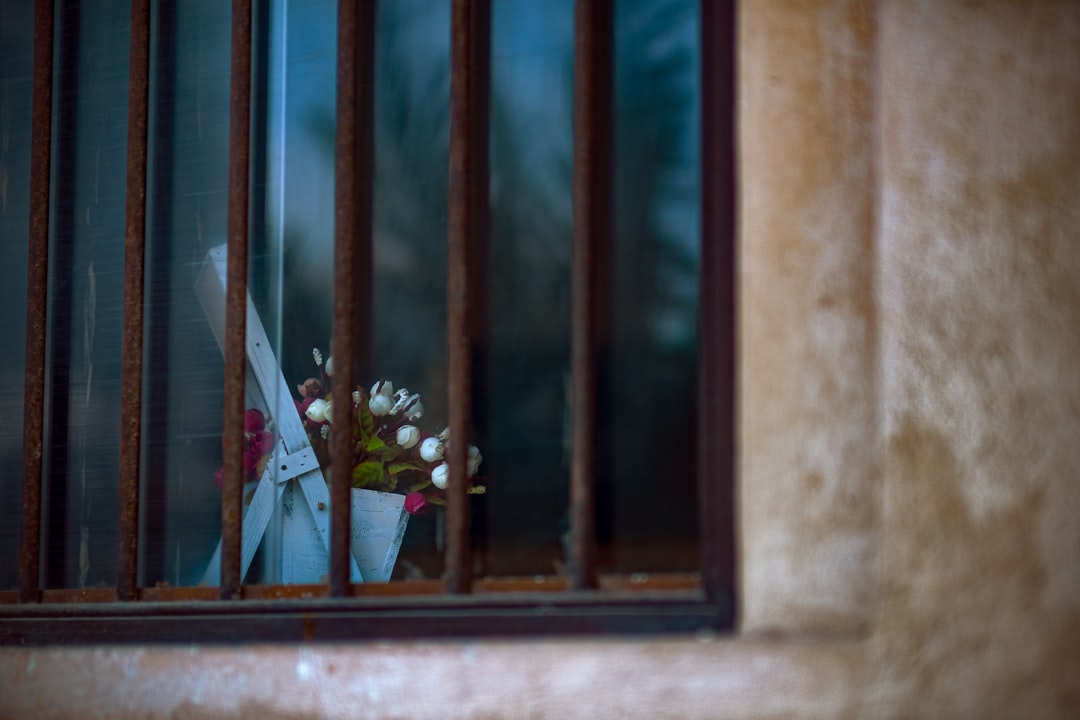 white flowers on window during daytime