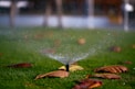water droplets on green grass during daytime