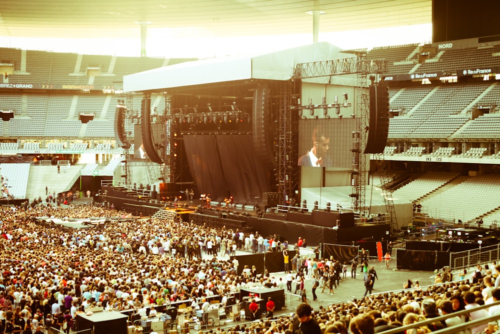 people sitting on chairs inside stadium