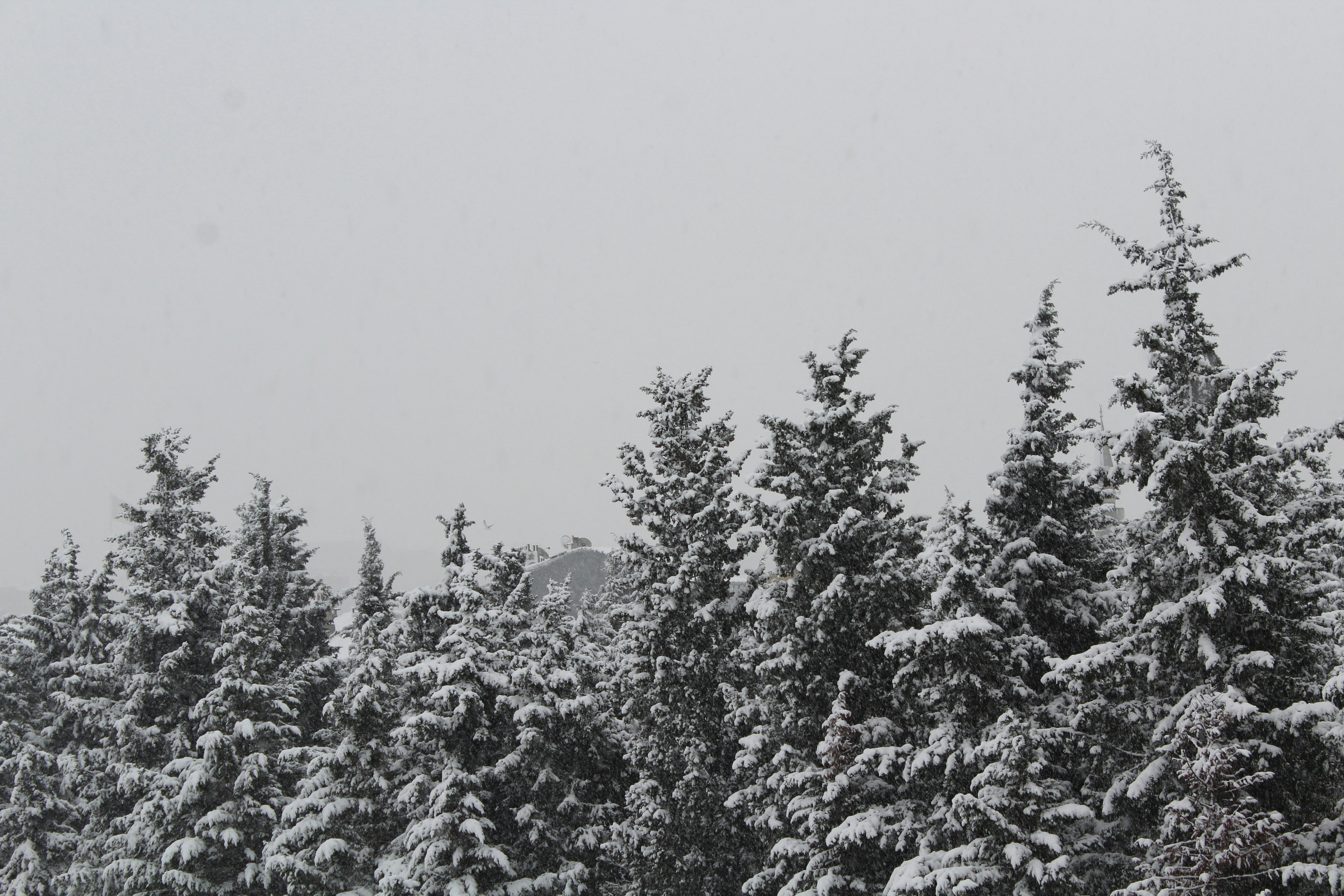 Photo by dilaraserdar