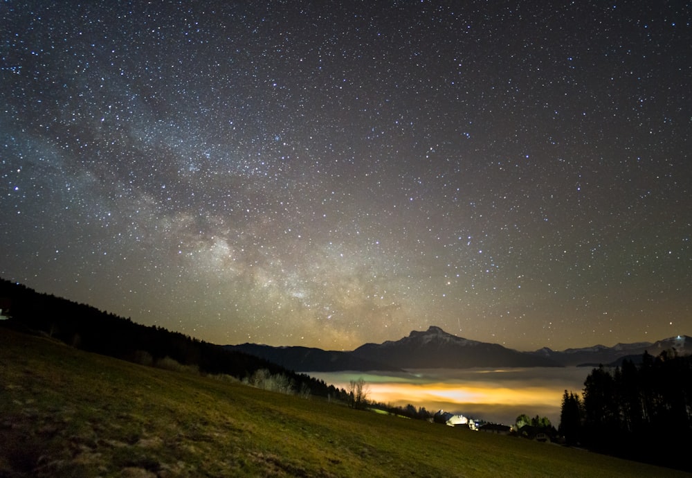 green grass field under starry night