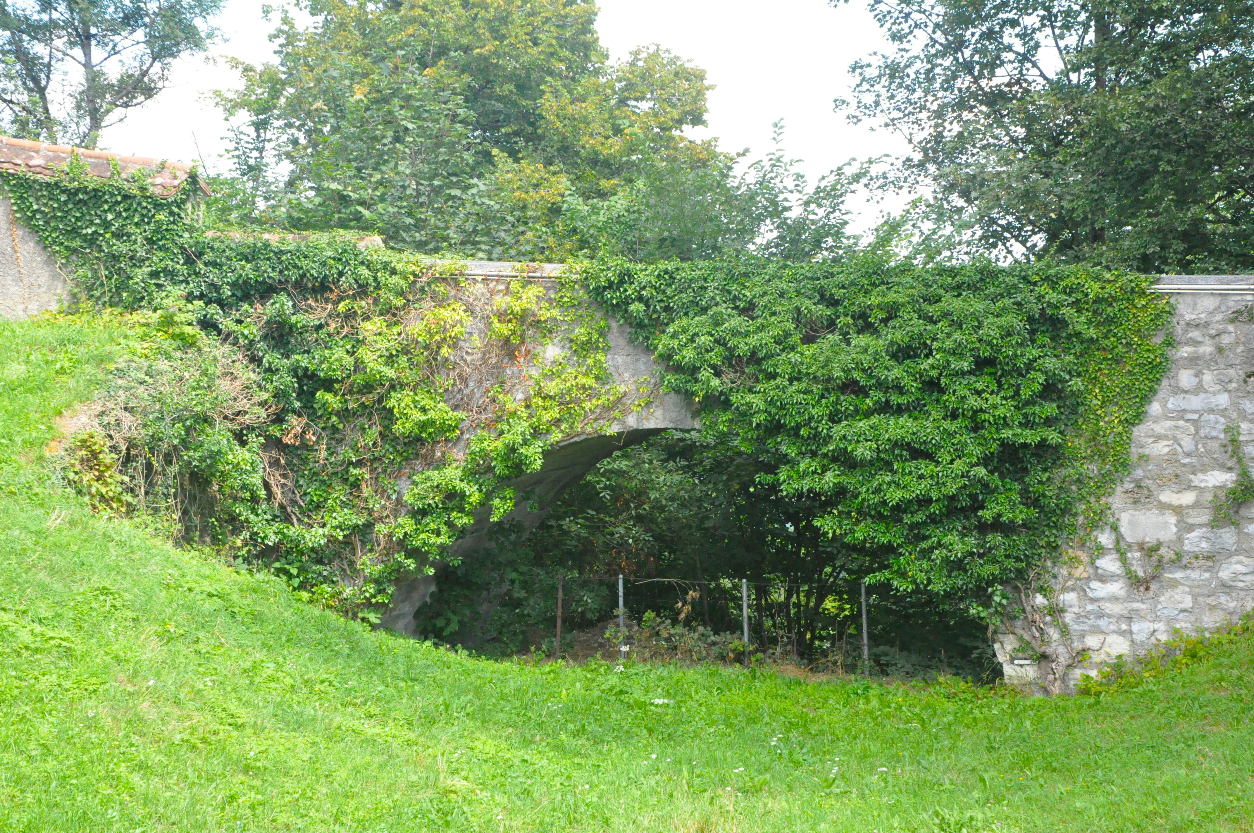 Summertime Outdoor Hazards