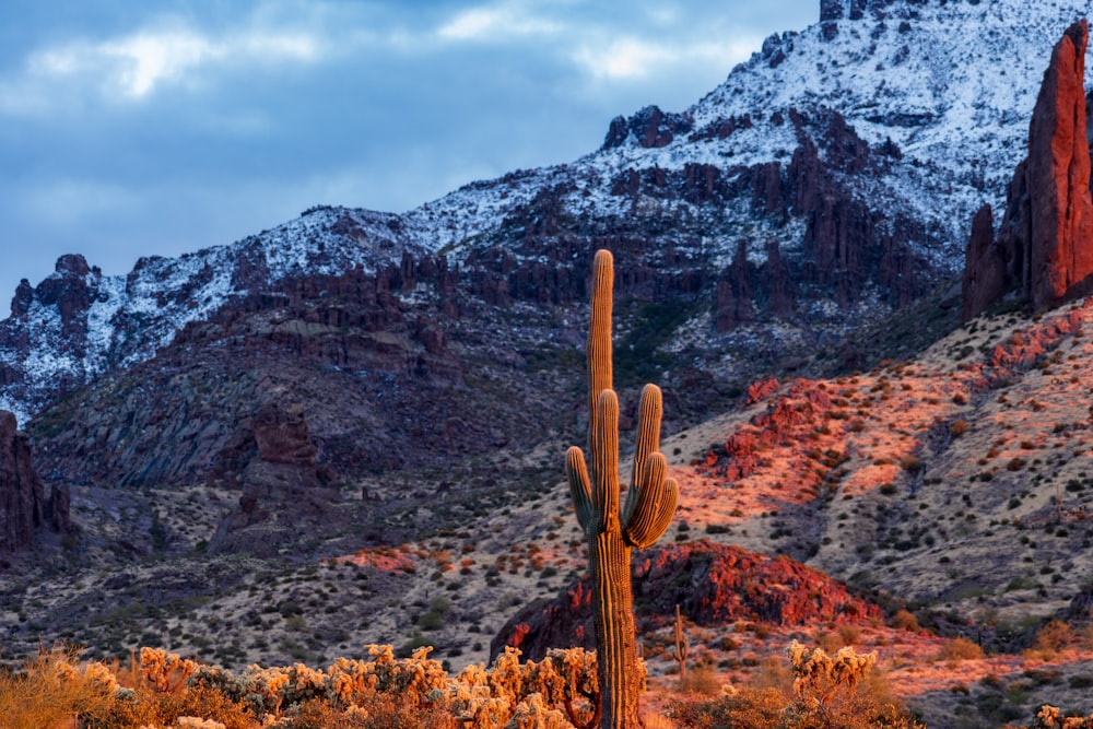 brown wooden cross on brown and gray mountain under white clouds during daytime